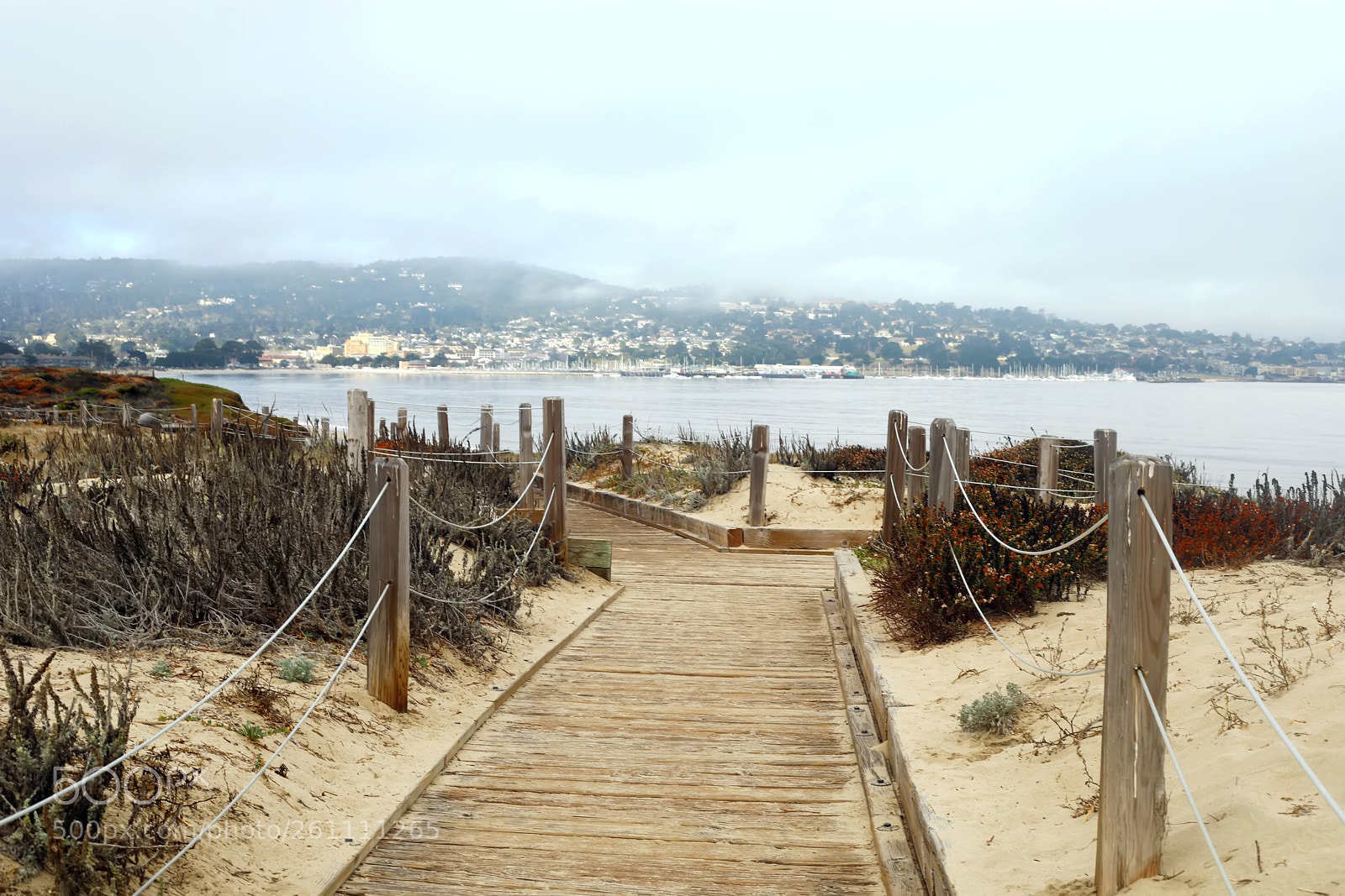 Canon EOS 5D Mark IV sample photo. Monterey, california photography