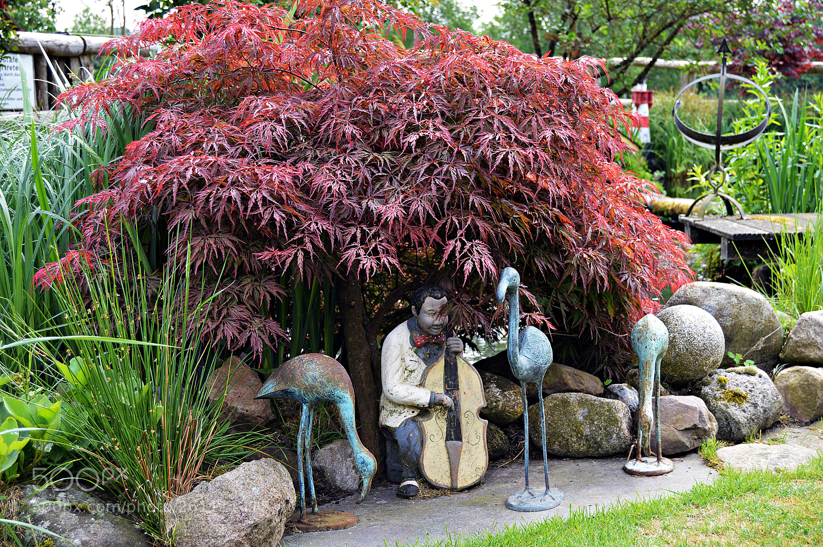 Nikon D3200 sample photo. Garden decoration photography