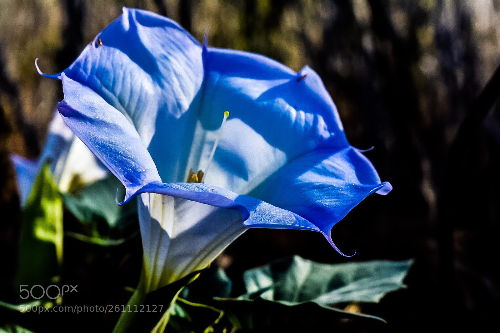 Nikon D3400 sample photo. Breath of fresh air  photography