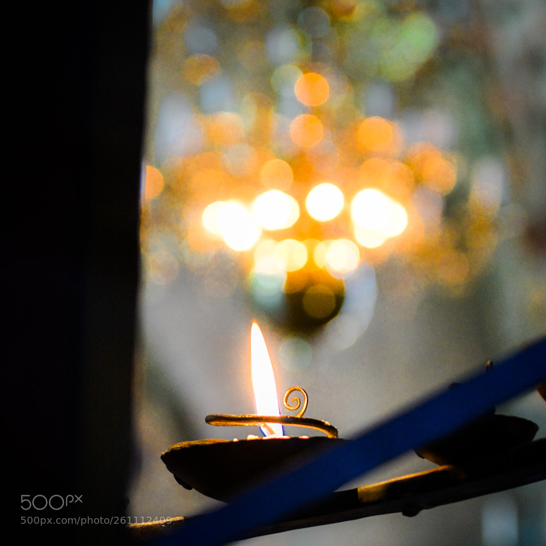 Nikon D5200 sample photo. Light of life. photography