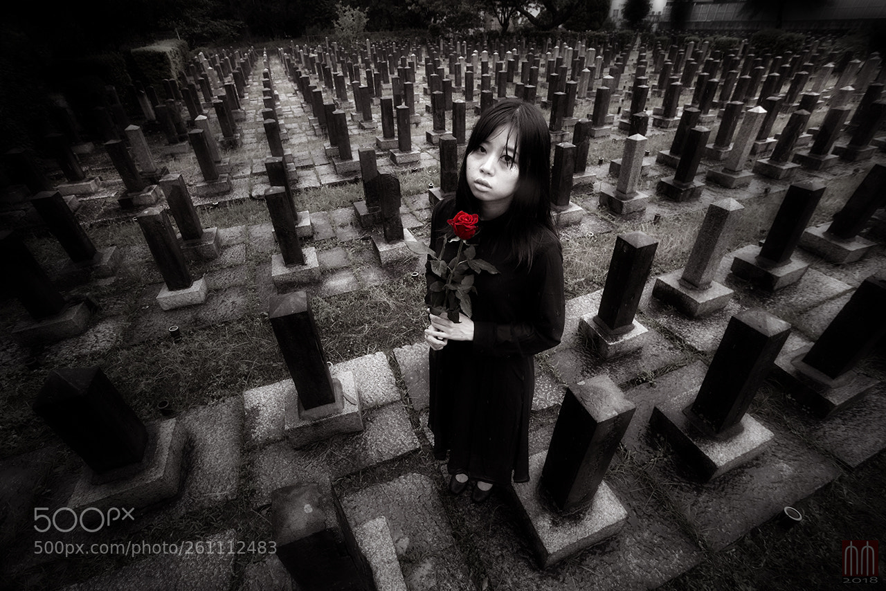 Nikon D810 sample photo. Nobody sang a lullaby. photography