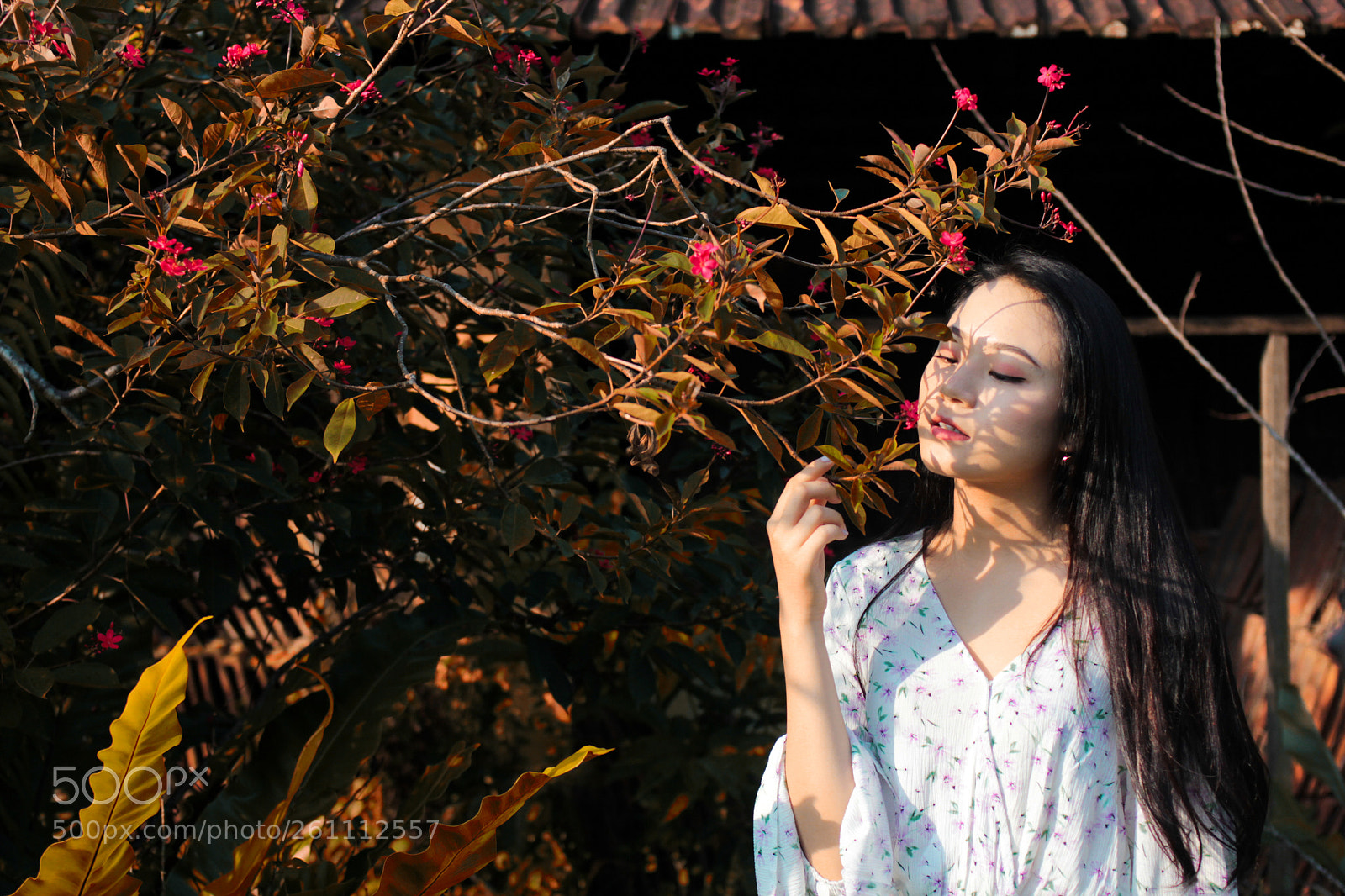 Canon EOS 60D sample photo. Summer day with her photography