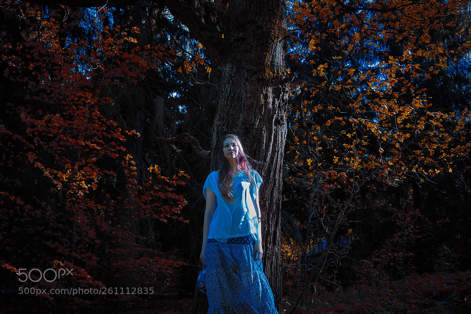 Nikon D5300 sample photo. Sorceress photography