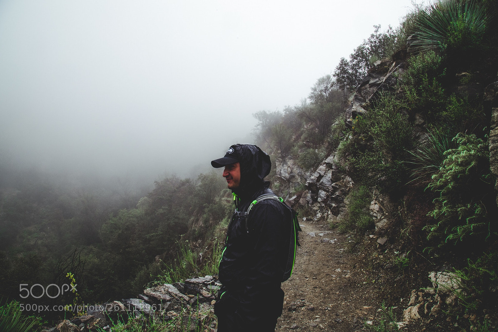 Canon EOS-1D X Mark II sample photo. Living photo credit jacob photography