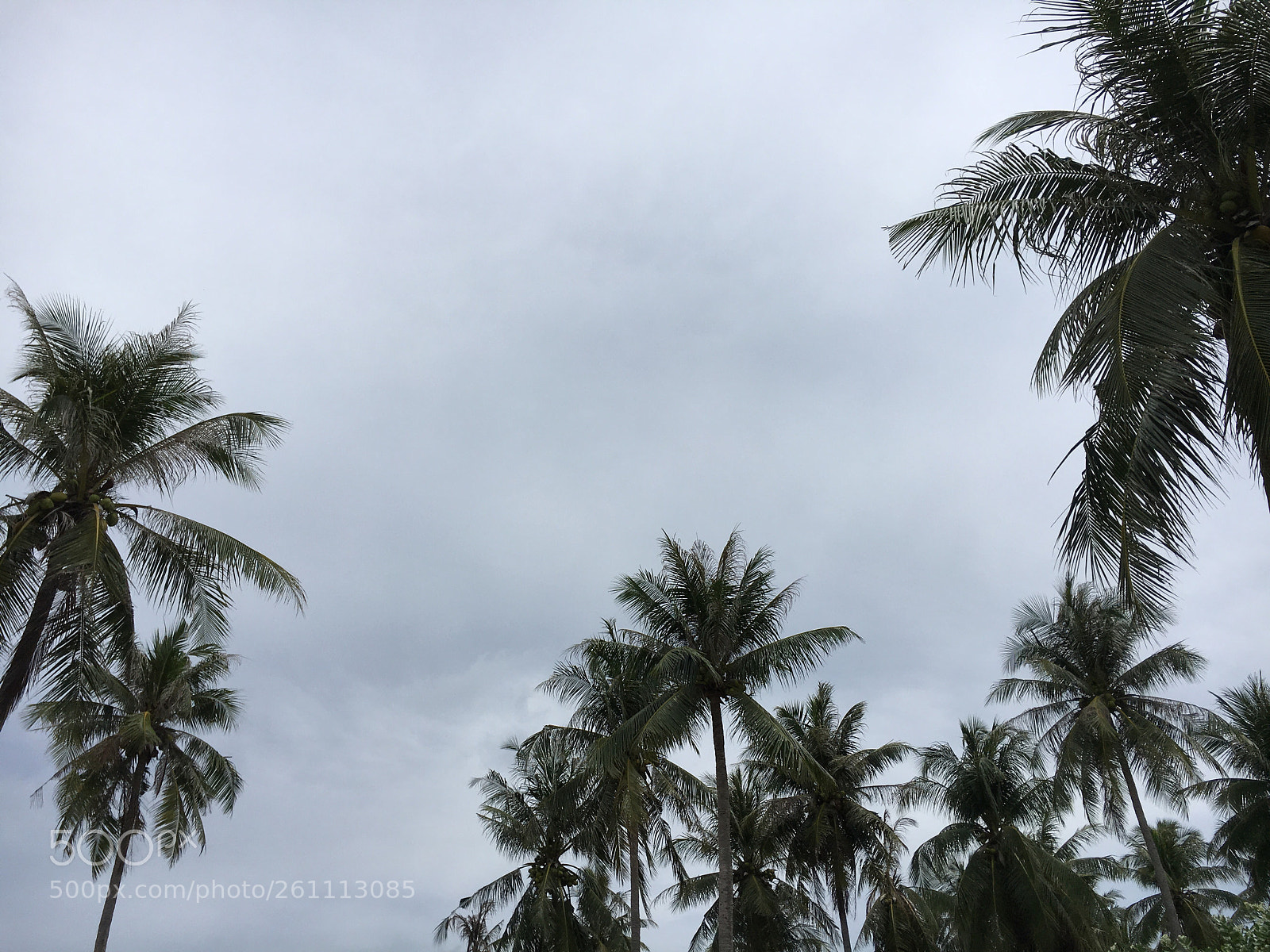 Apple iPhone 6s sample photo. Untitled photography