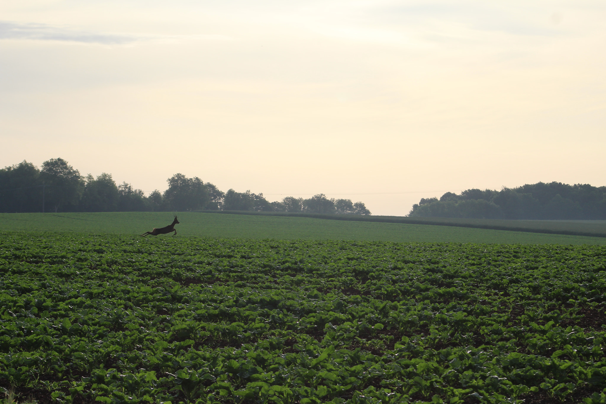 Canon EF 75-300mm f/4-5.6 USM sample photo. 21.jpg photography