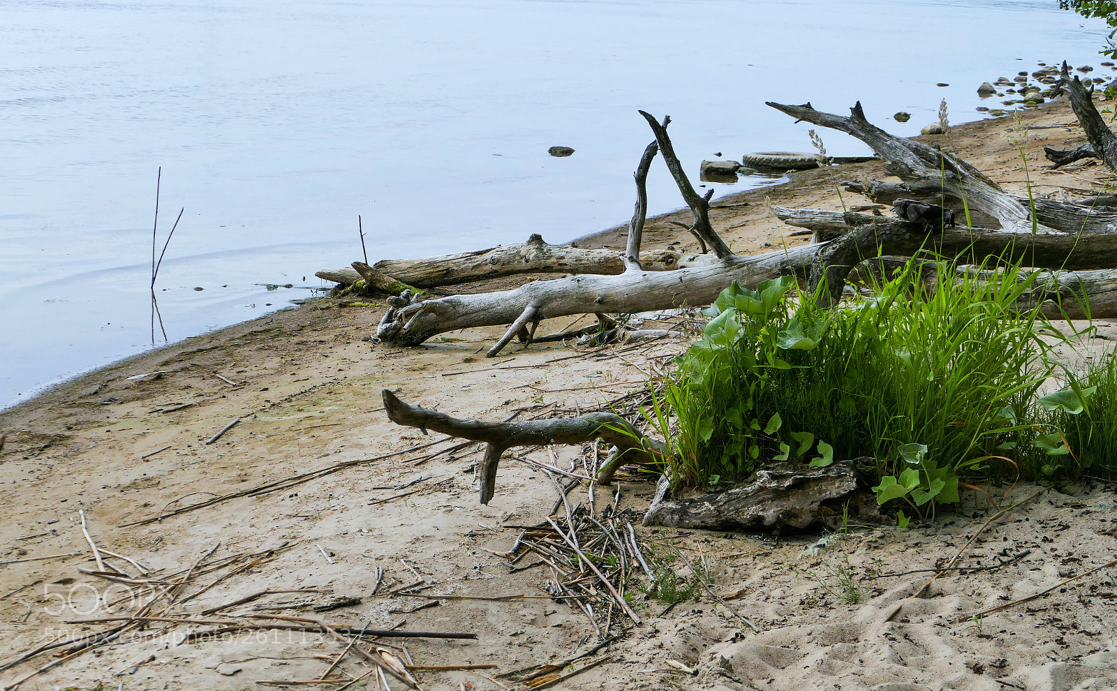 Panasonic Lumix DMC-FZ1000 sample photo. Wild beach photography