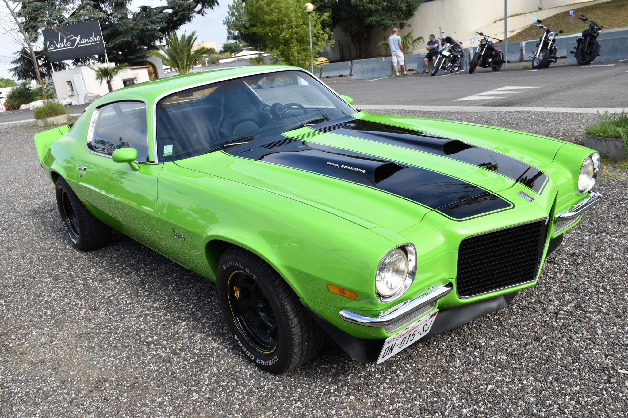 Nikon D5500 sample photo. Camaro photography