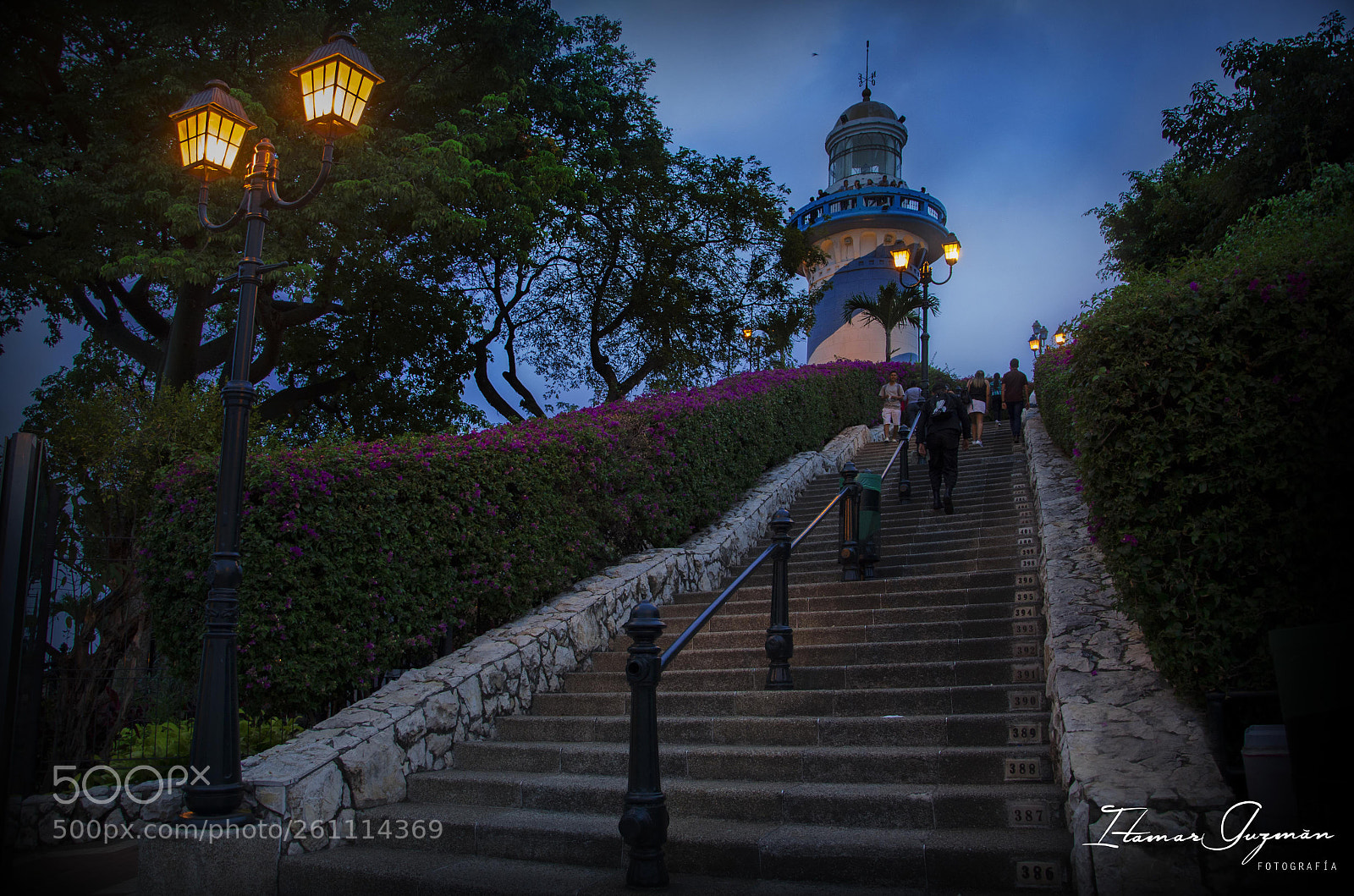 Nikon D7000 sample photo. Guayaquil photography