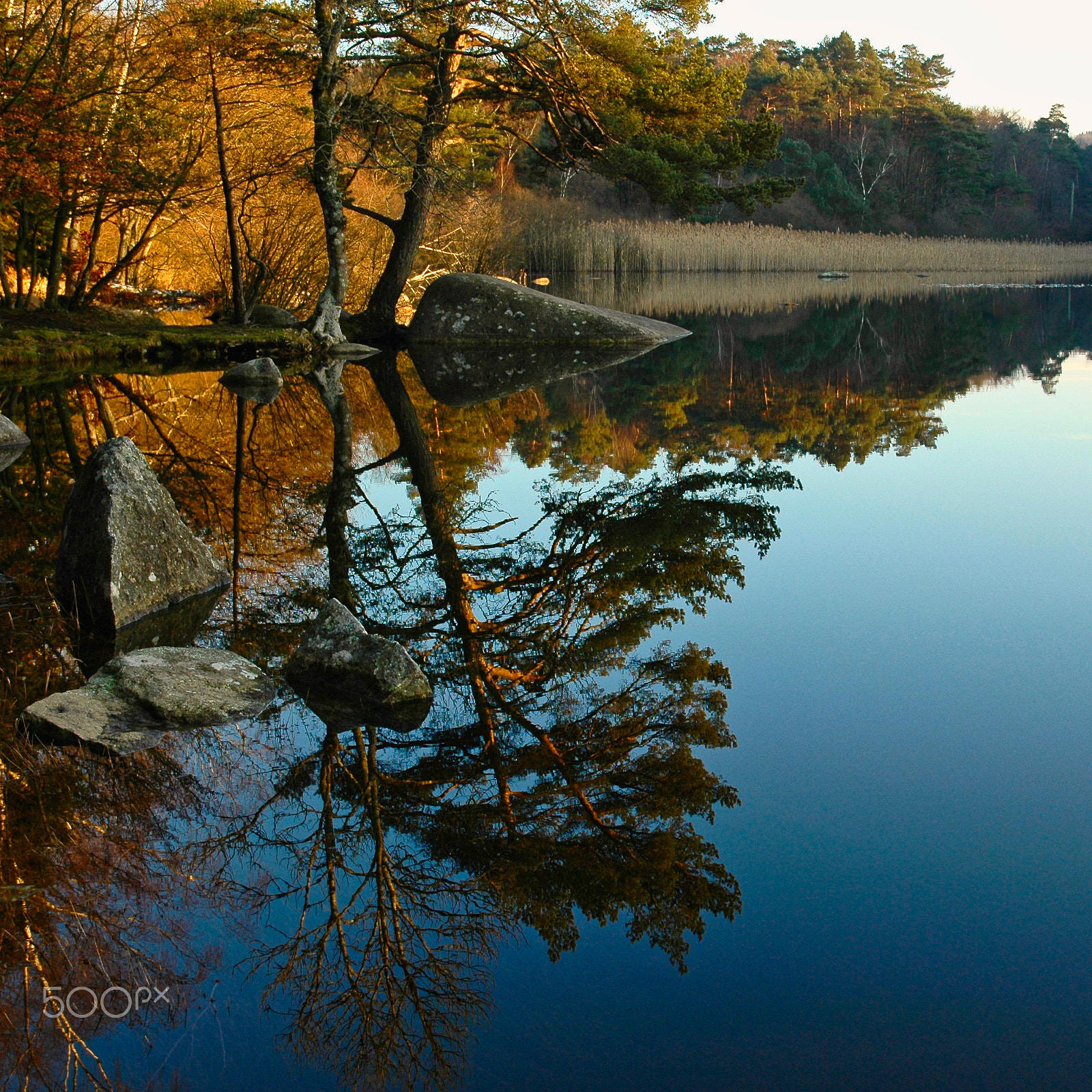 Nikon D70 sample photo. Lac de merle photography