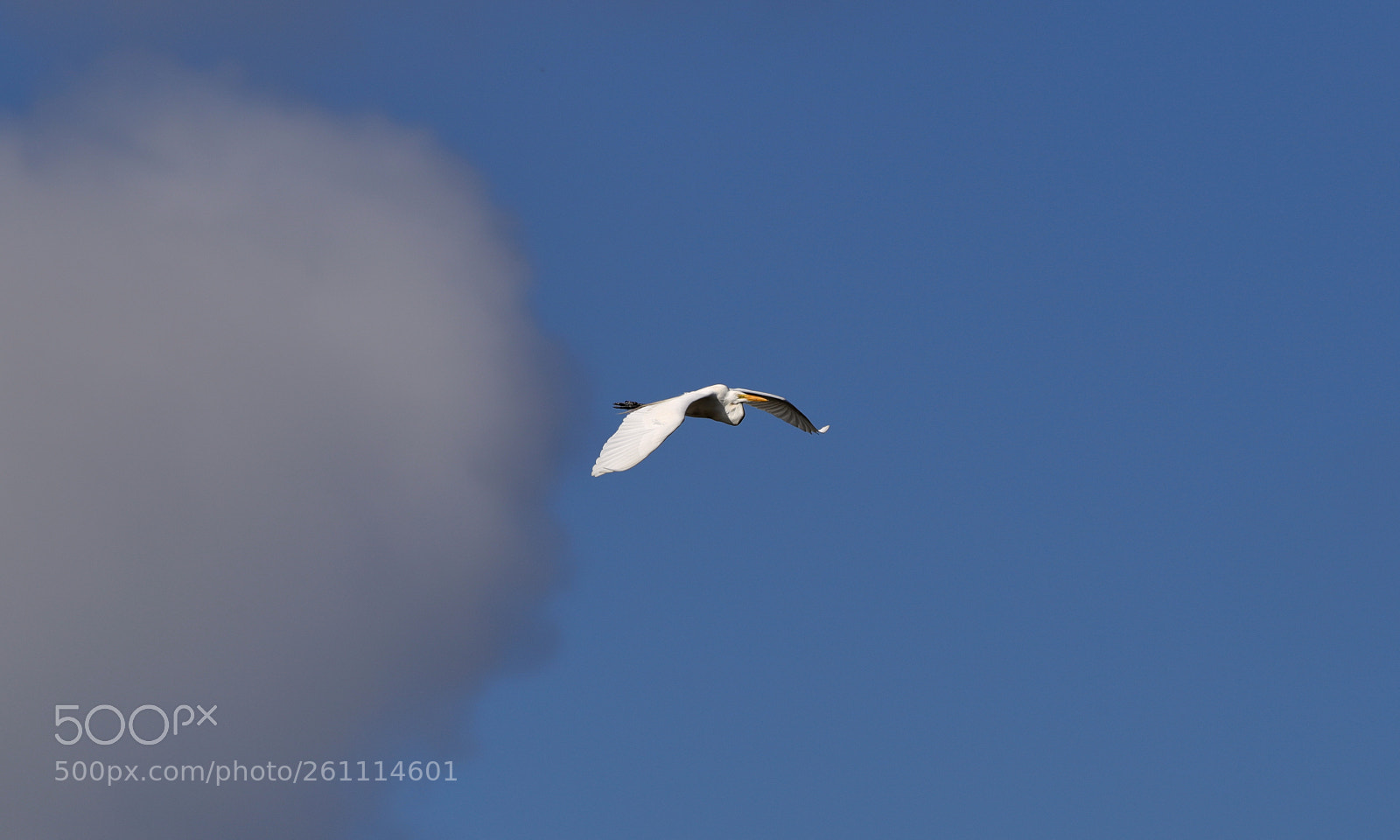 Canon EOS-1D X Mark II sample photo. 06-06-18-0021425.jpg photography