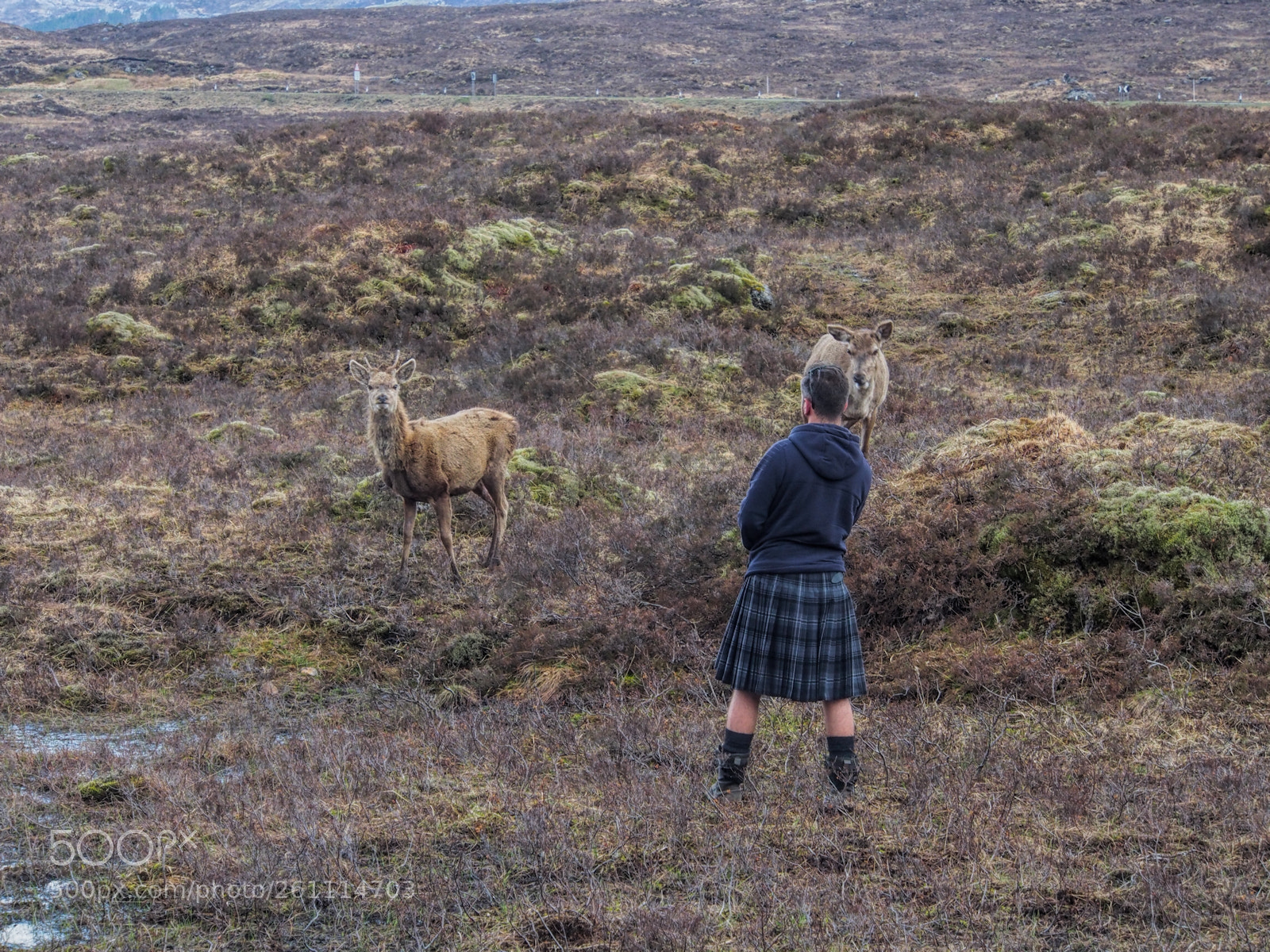 Olympus OM-D E-M5 sample photo. The deer whisperer photography