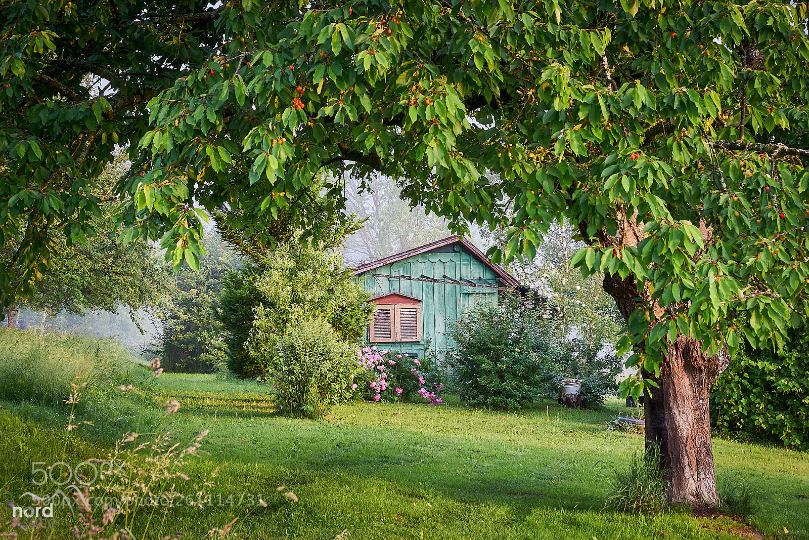 Sony ILCA-77M2 sample photo. Die parzelle photography