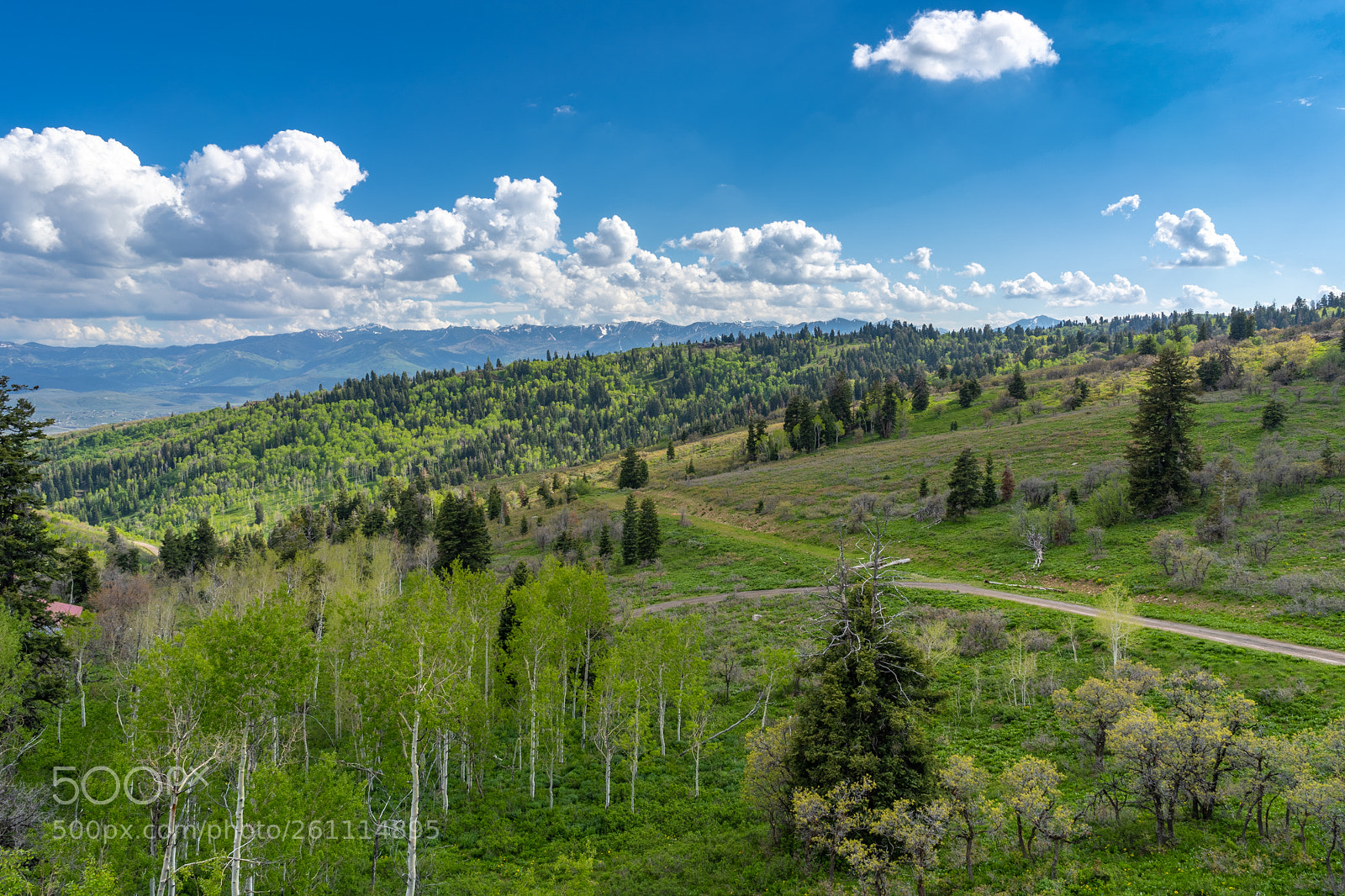 Sony a7 III sample photo. Open valley photography