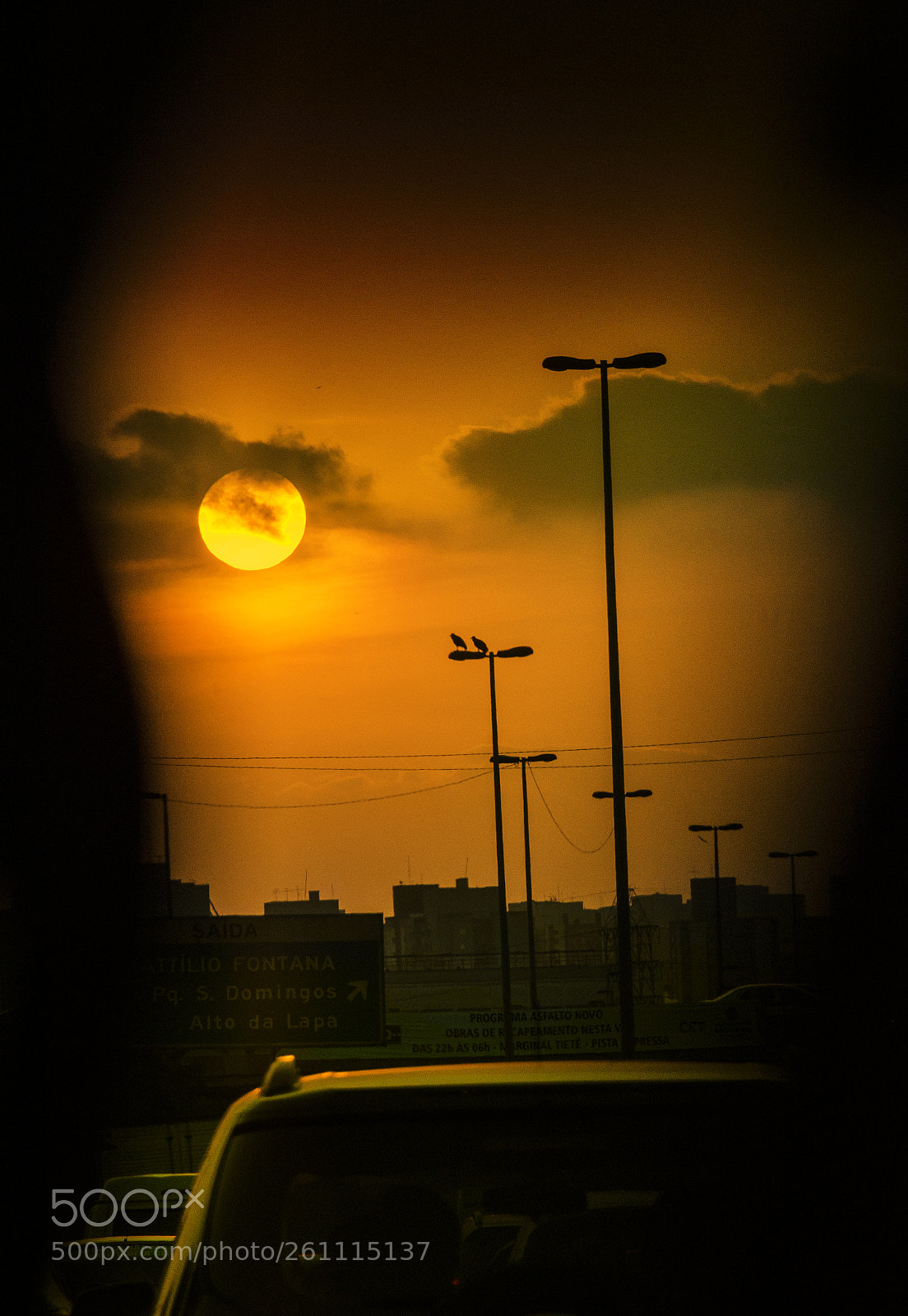 Nikon D5100 sample photo. Stay curious - lau photography