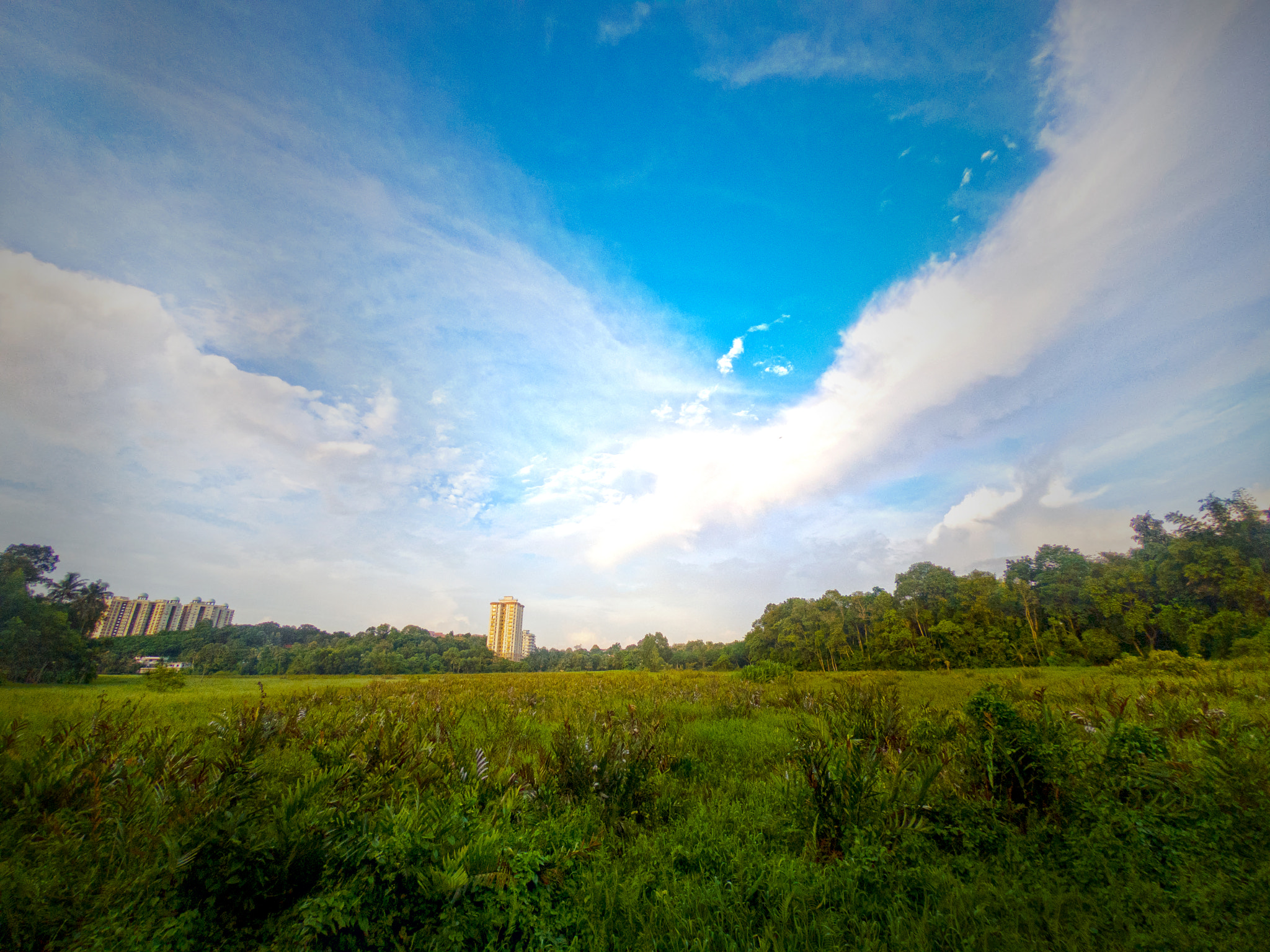 GoPro Hero6 Black sample photo. Green photography