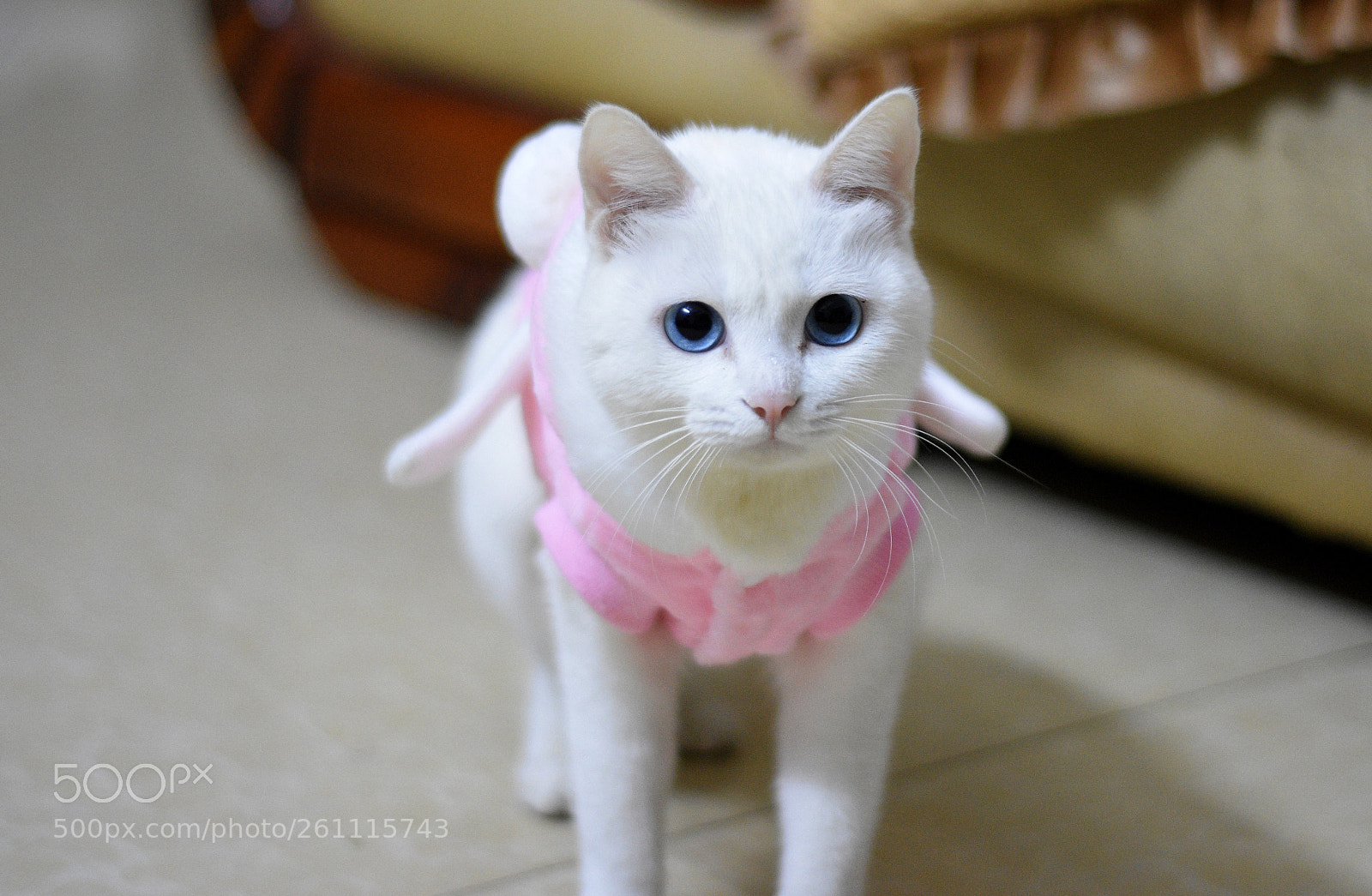 Nikon D7200 sample photo. Untitled photography