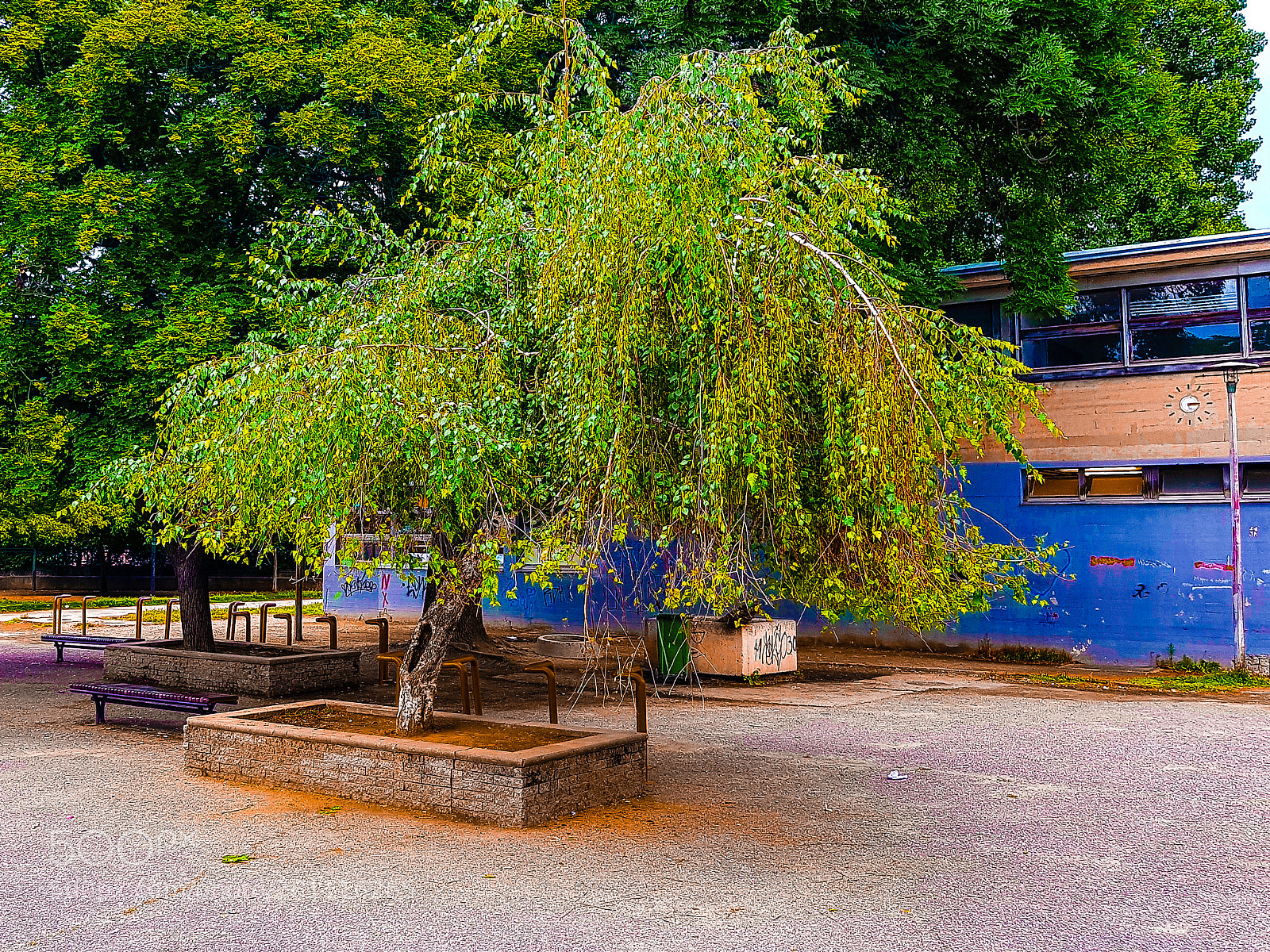 Samsung Galaxy S8+ sample photo. Schoolyard photography