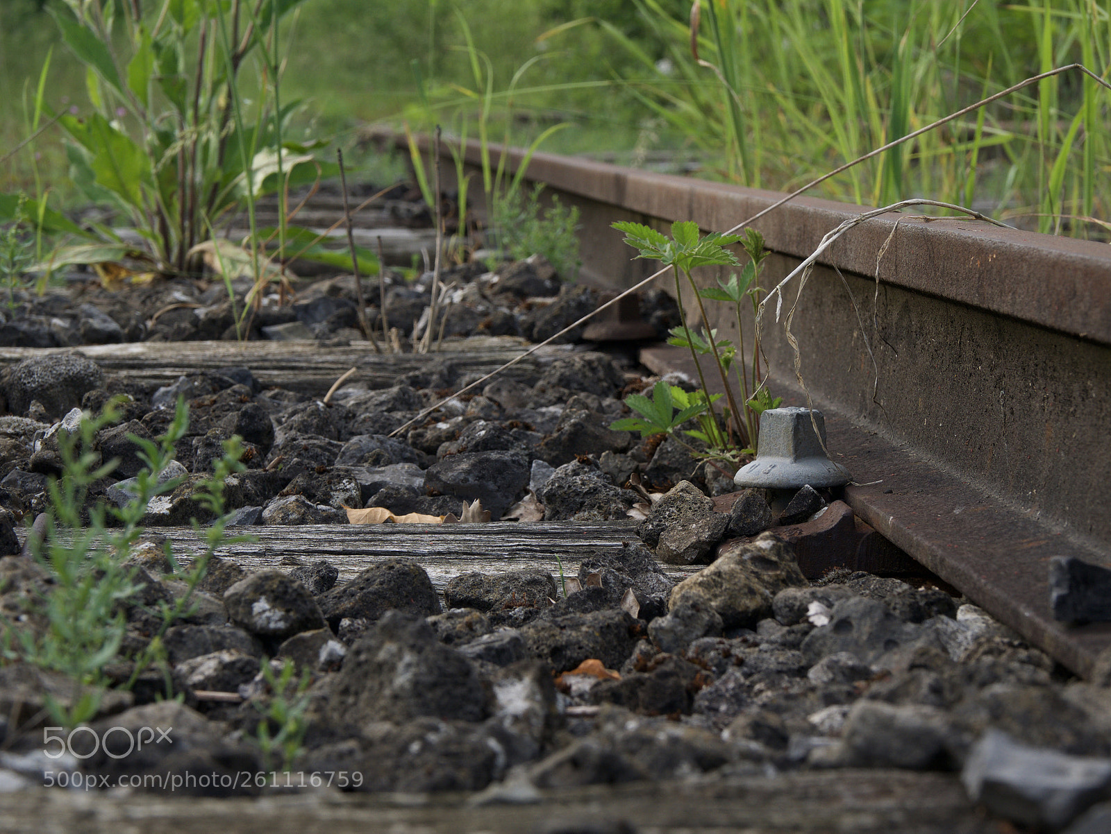 Panasonic Lumix DMC-GX85 (Lumix DMC-GX80 / Lumix DMC-GX7 Mark II) sample photo. Fullsizeoutput photography