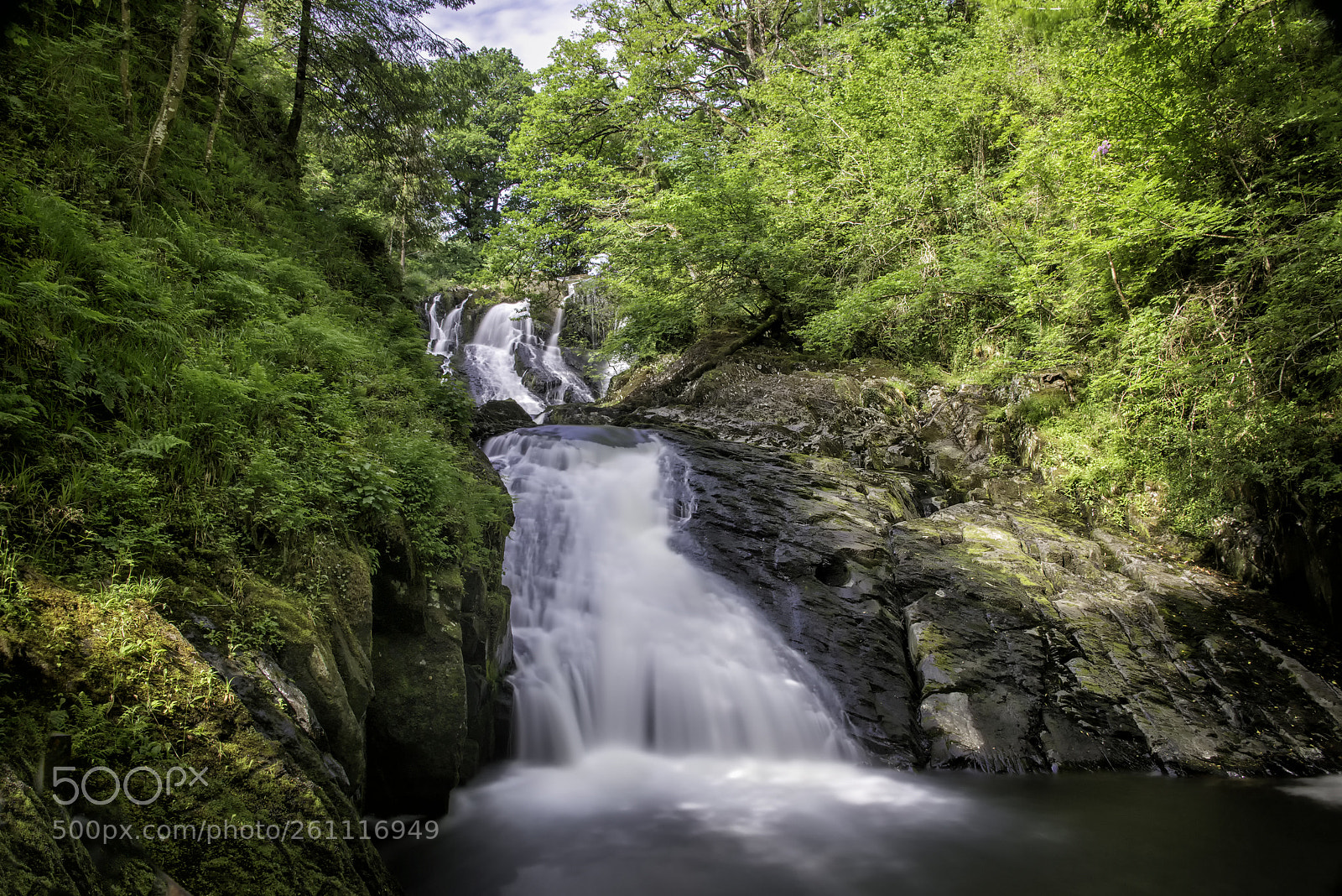 Nikon D800 sample photo. Swallow falls photography