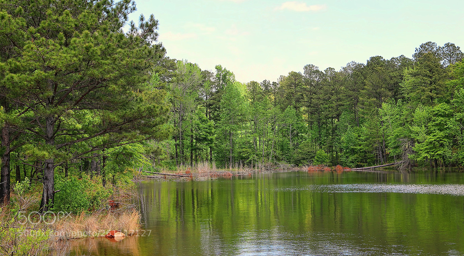 Canon EOS 70D sample photo. Green reflections photography