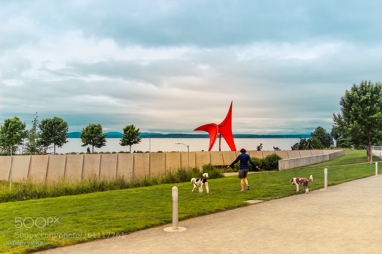 Canon EOS 600D (Rebel EOS T3i / EOS Kiss X5) sample photo. Dog walker photography