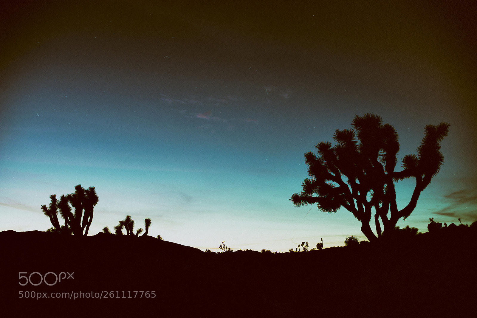 Canon EOS 700D (EOS Rebel T5i / EOS Kiss X7i) sample photo. Joshua tree sunset photography