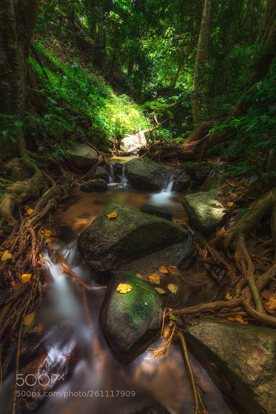 Nikon D600 sample photo. Streams in the forest photography