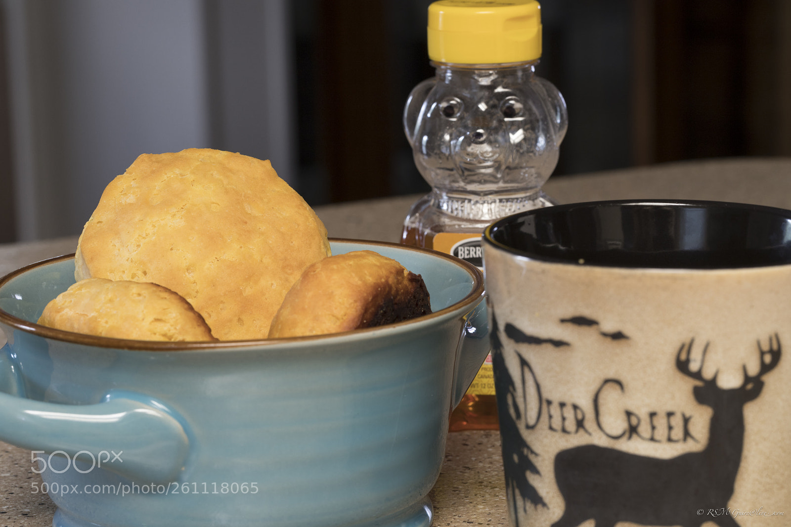 Canon EOS 6D Mark II sample photo. Biscuits & honey photography