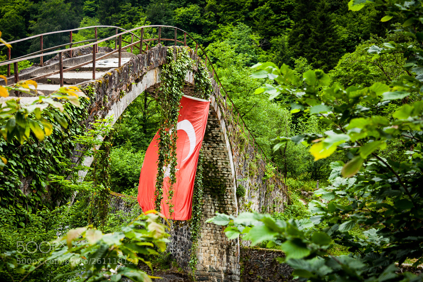Canon EOS 5D Mark II sample photo. Nature of turkey 2 photography