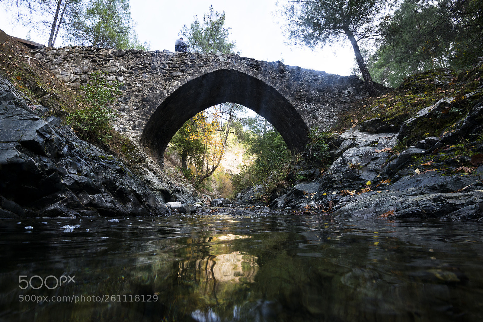 Nikon D800E sample photo. Enetic bridge photography