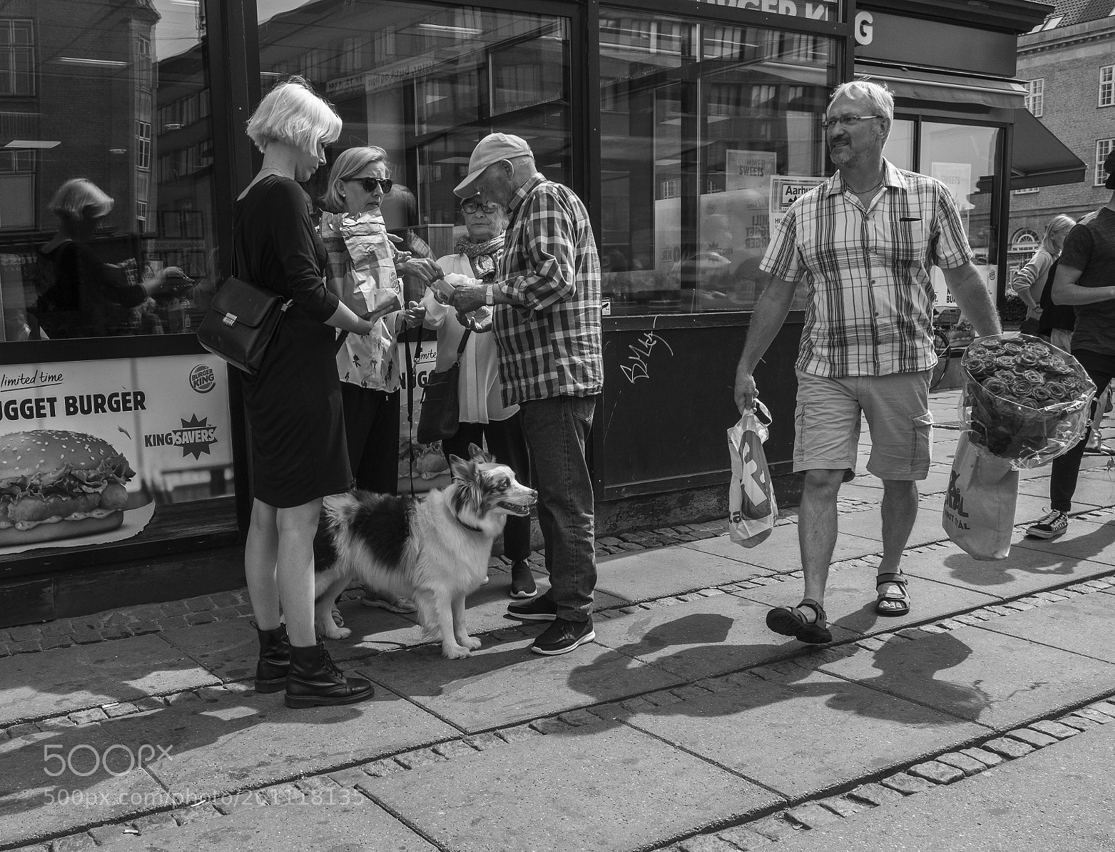 Fujifilm X-T20 sample photo. Flowers and a dog photography