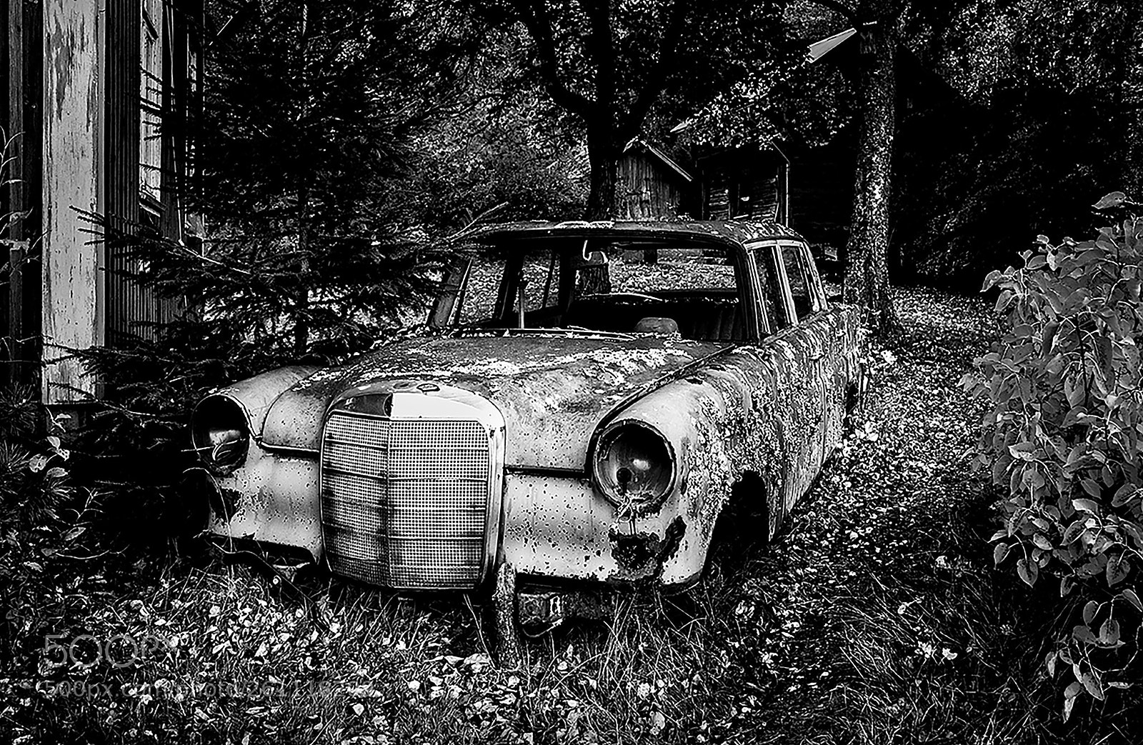 Canon EOS 5D Mark II sample photo. Untitled photography