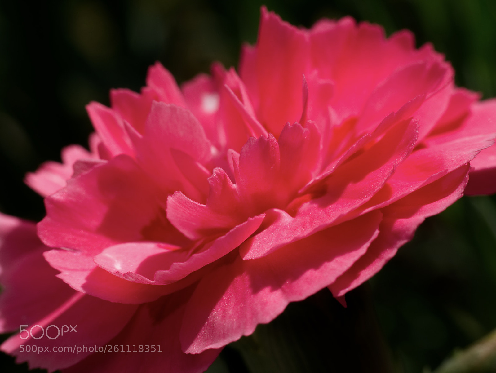Panasonic Lumix DMC-GX85 (Lumix DMC-GX80 / Lumix DMC-GX7 Mark II) sample photo. Fullsizeoutput photography