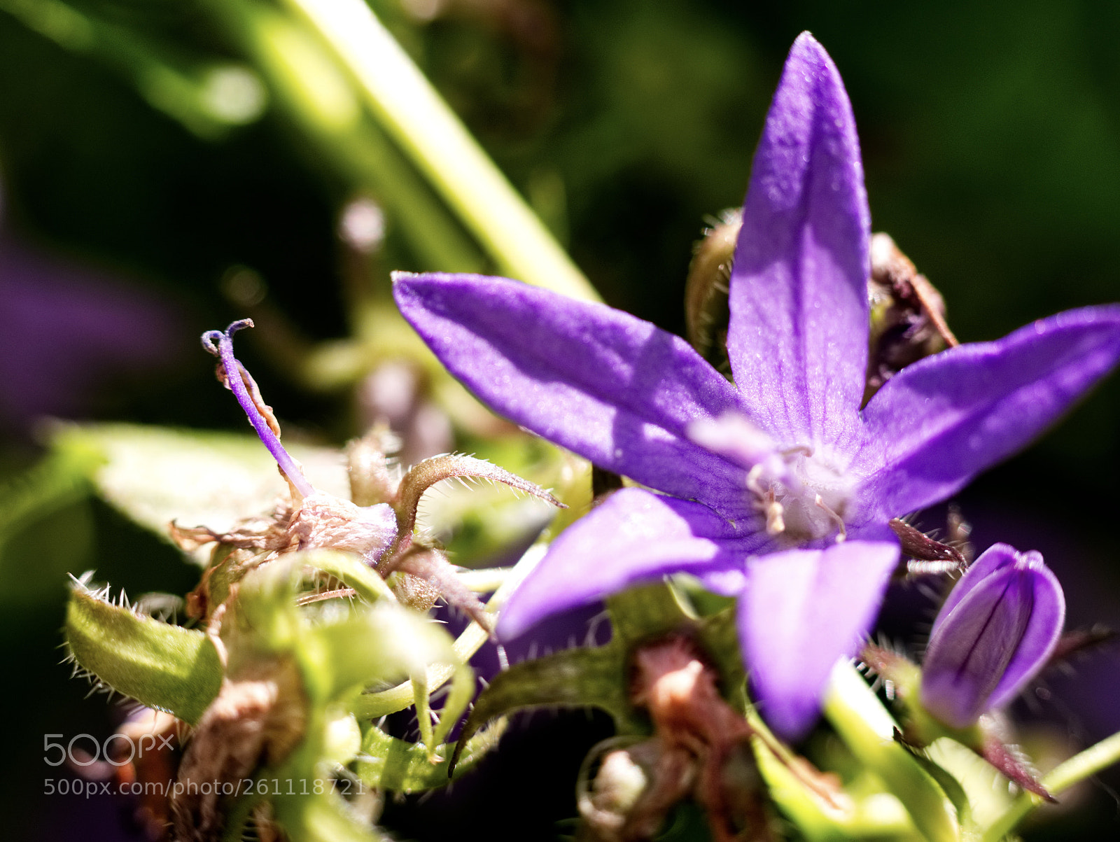 Panasonic Lumix DMC-GX85 (Lumix DMC-GX80 / Lumix DMC-GX7 Mark II) sample photo. Fullsizeoutput photography