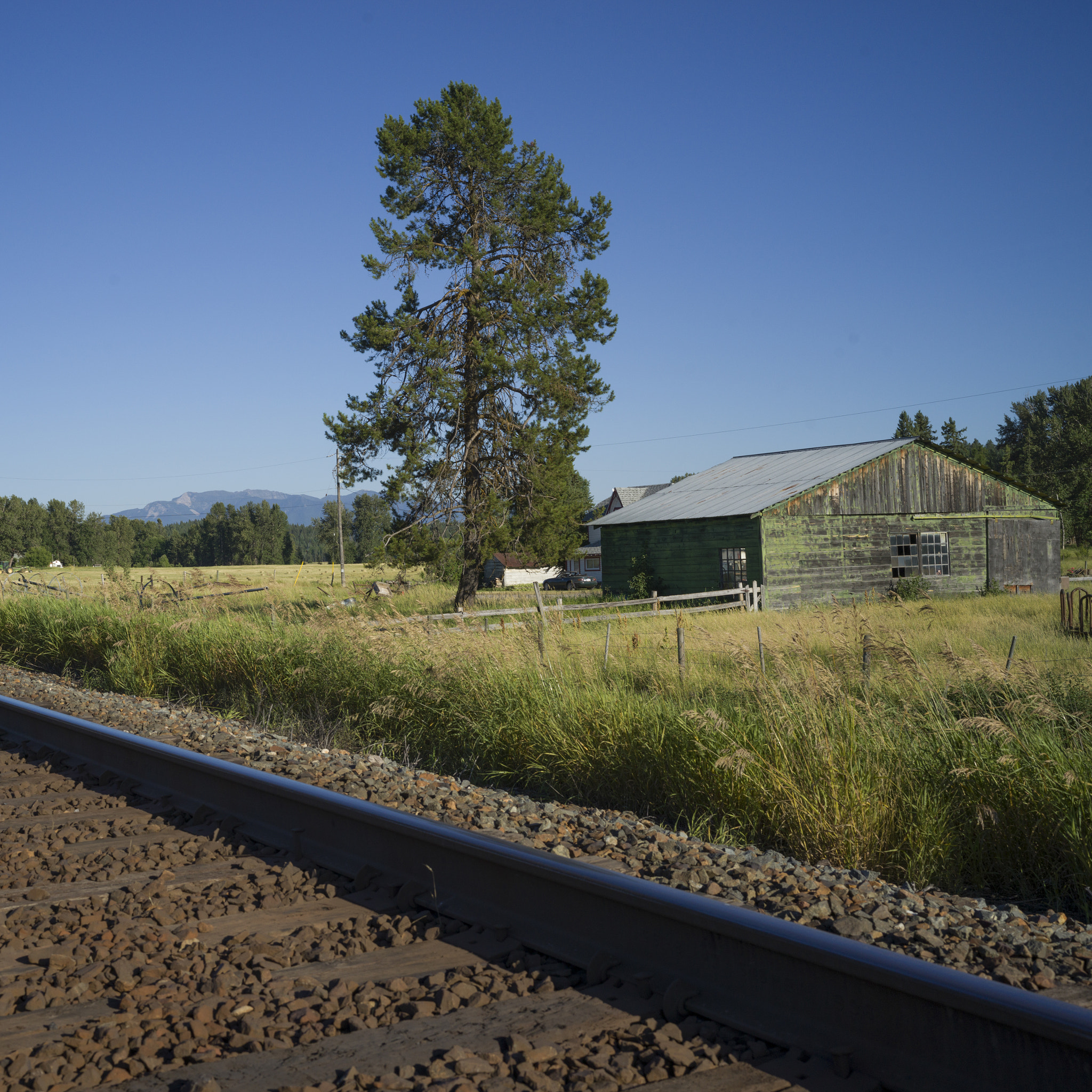 Hasselblad X1D-50c sample photo. Railroad passing through field, british columbia highway 93, bri photography