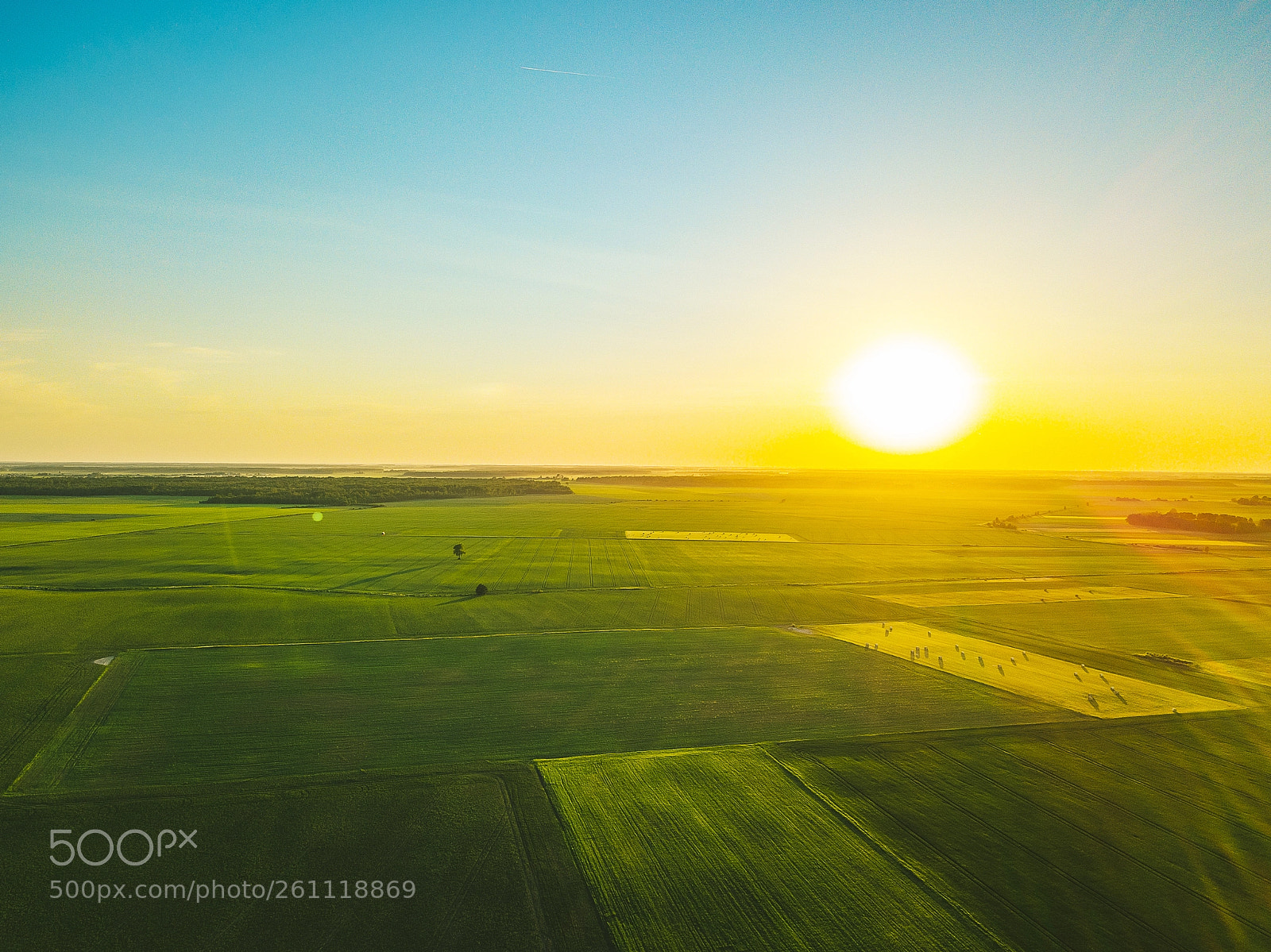 DJI FC220 sample photo. Green fields photography