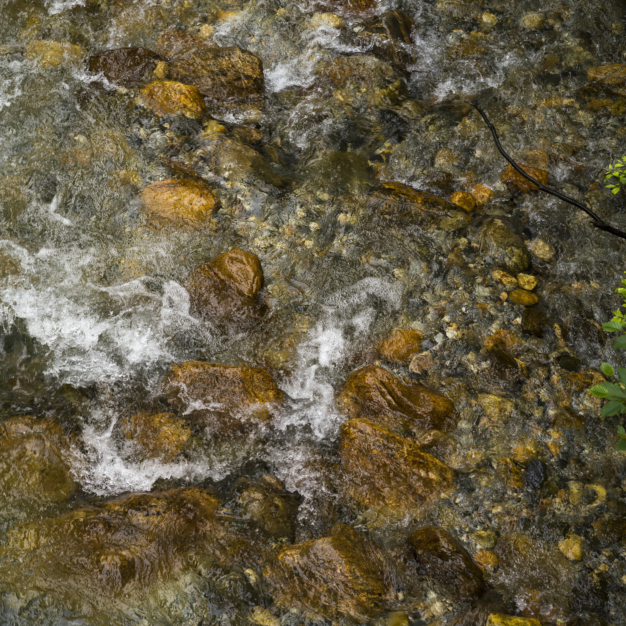Hasselblad X1D-50c sample photo. River flowing with stones, columbia river, revelstoke, british c photography