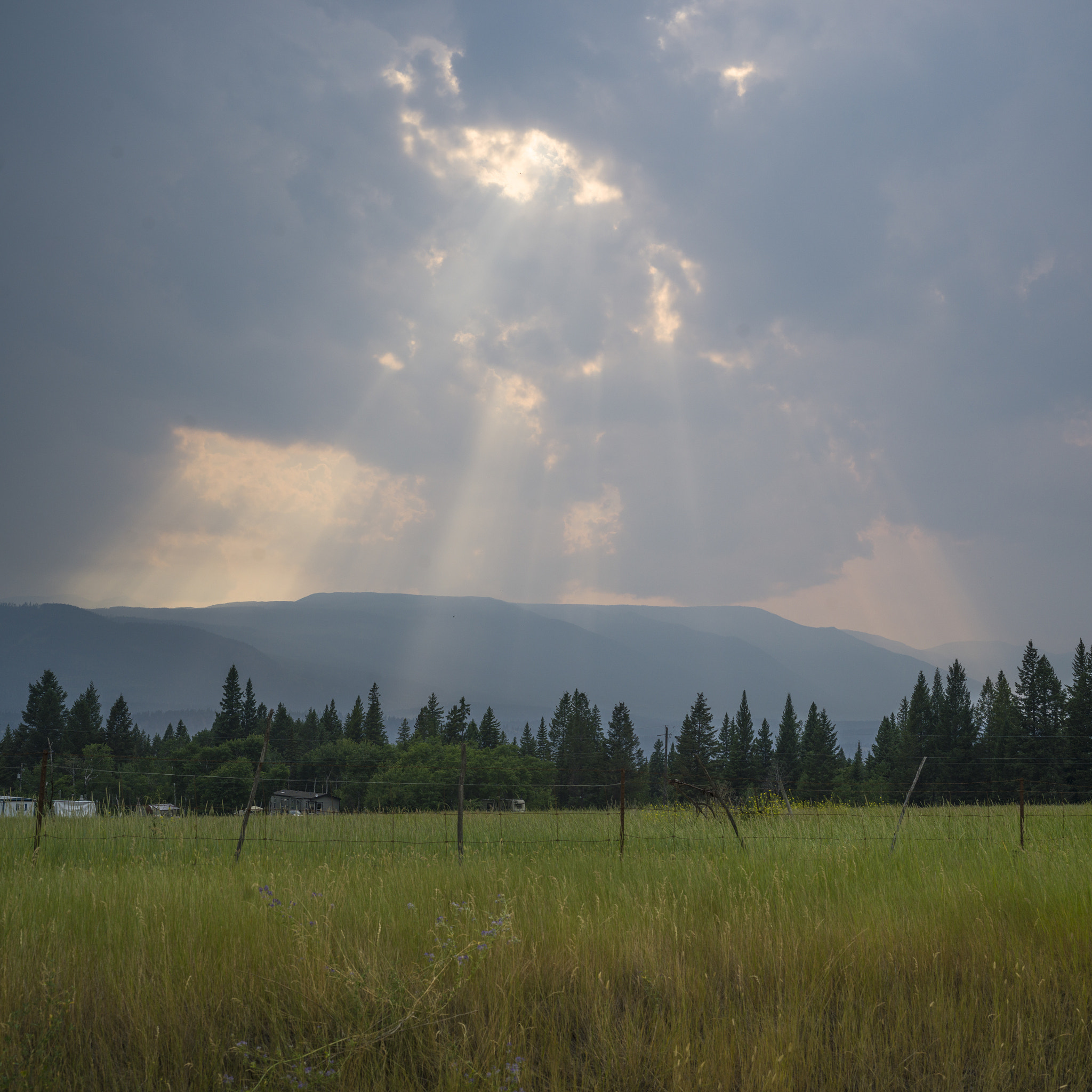 Hasselblad X1D-50c sample photo. Fence in field, spillimacheen, british columbia, canada photography