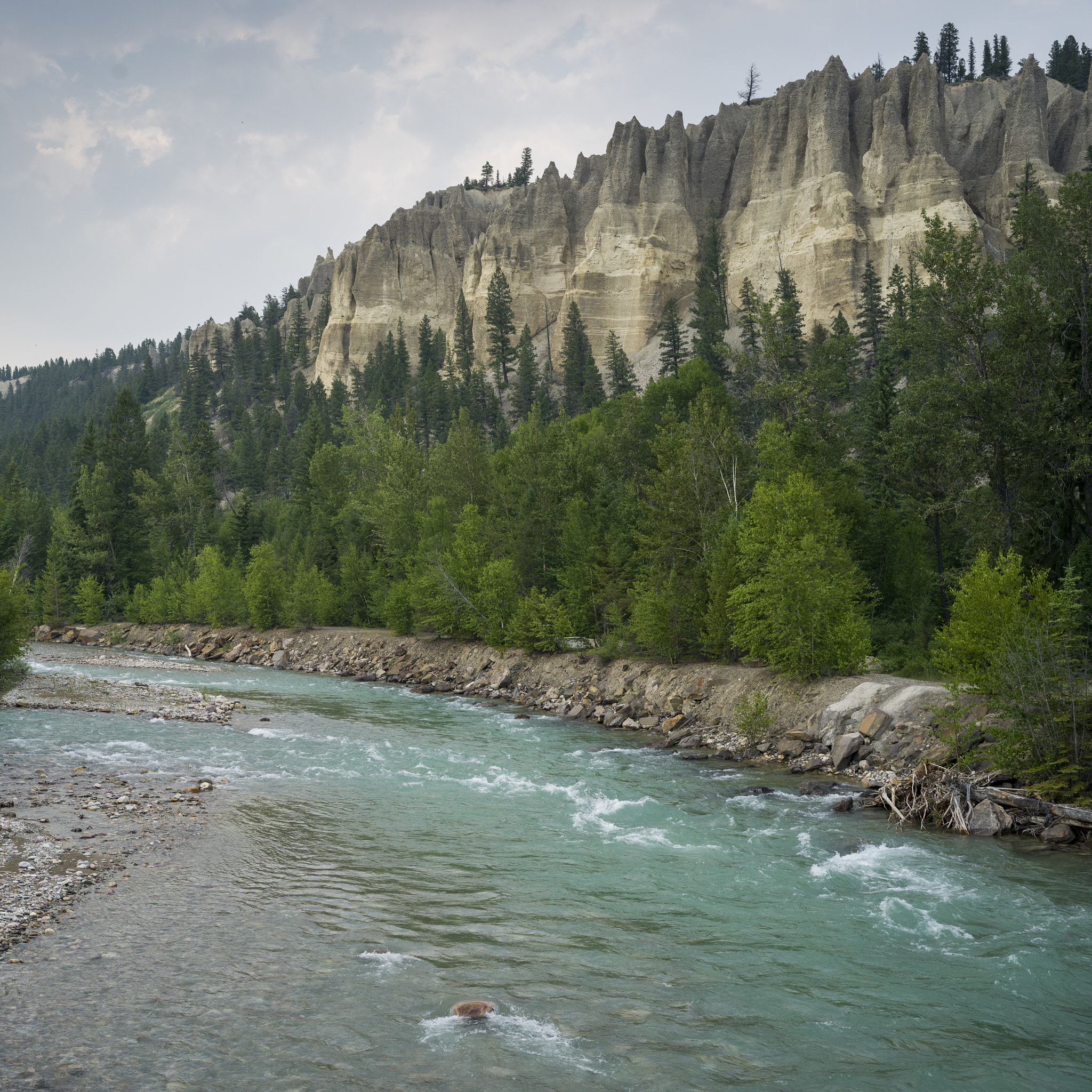 Hasselblad X1D-50c sample photo. River flowing through forest, kootenay river, east kootenay g, b photography