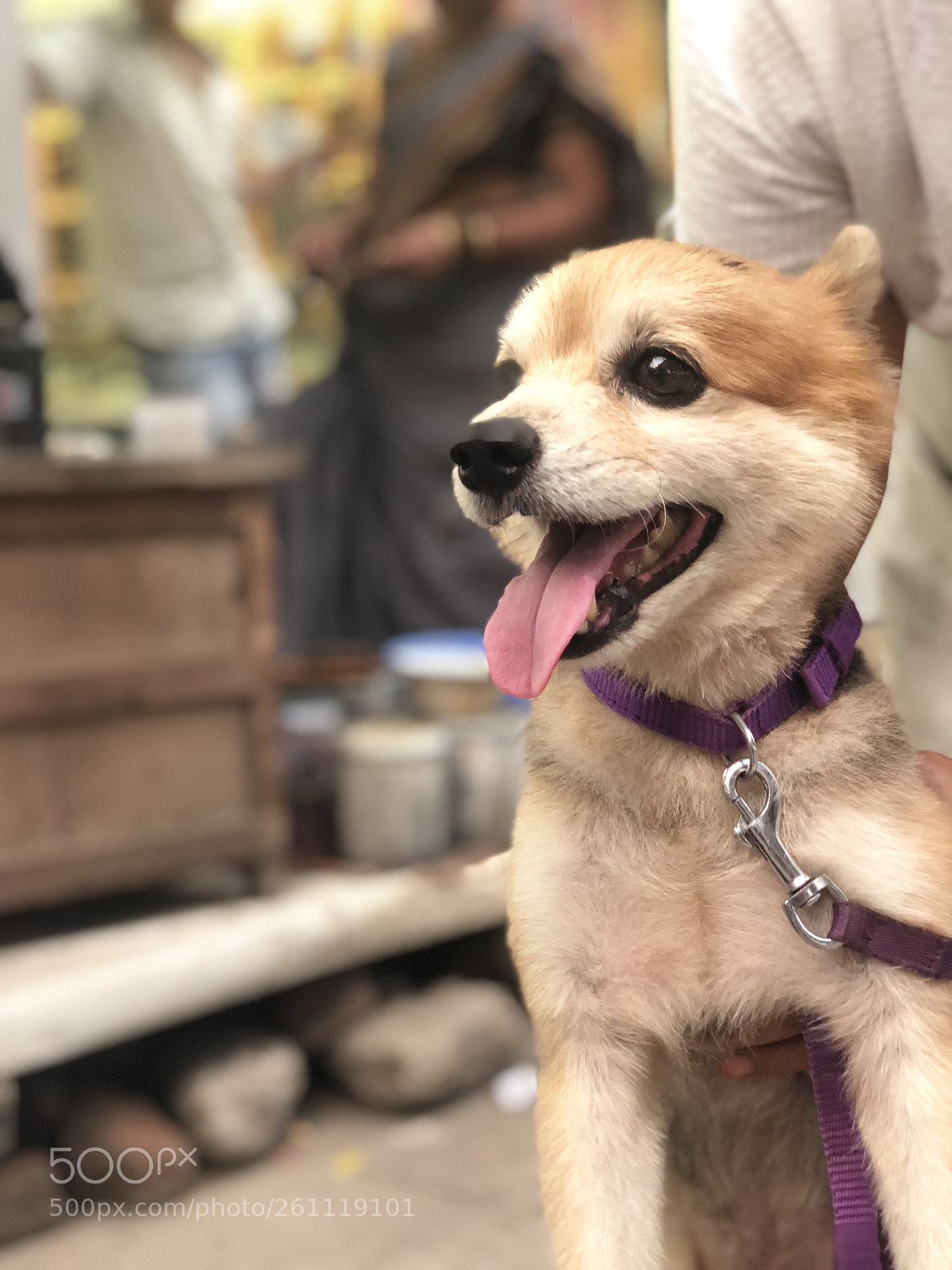 Apple iPhone X sample photo. Untitled photography