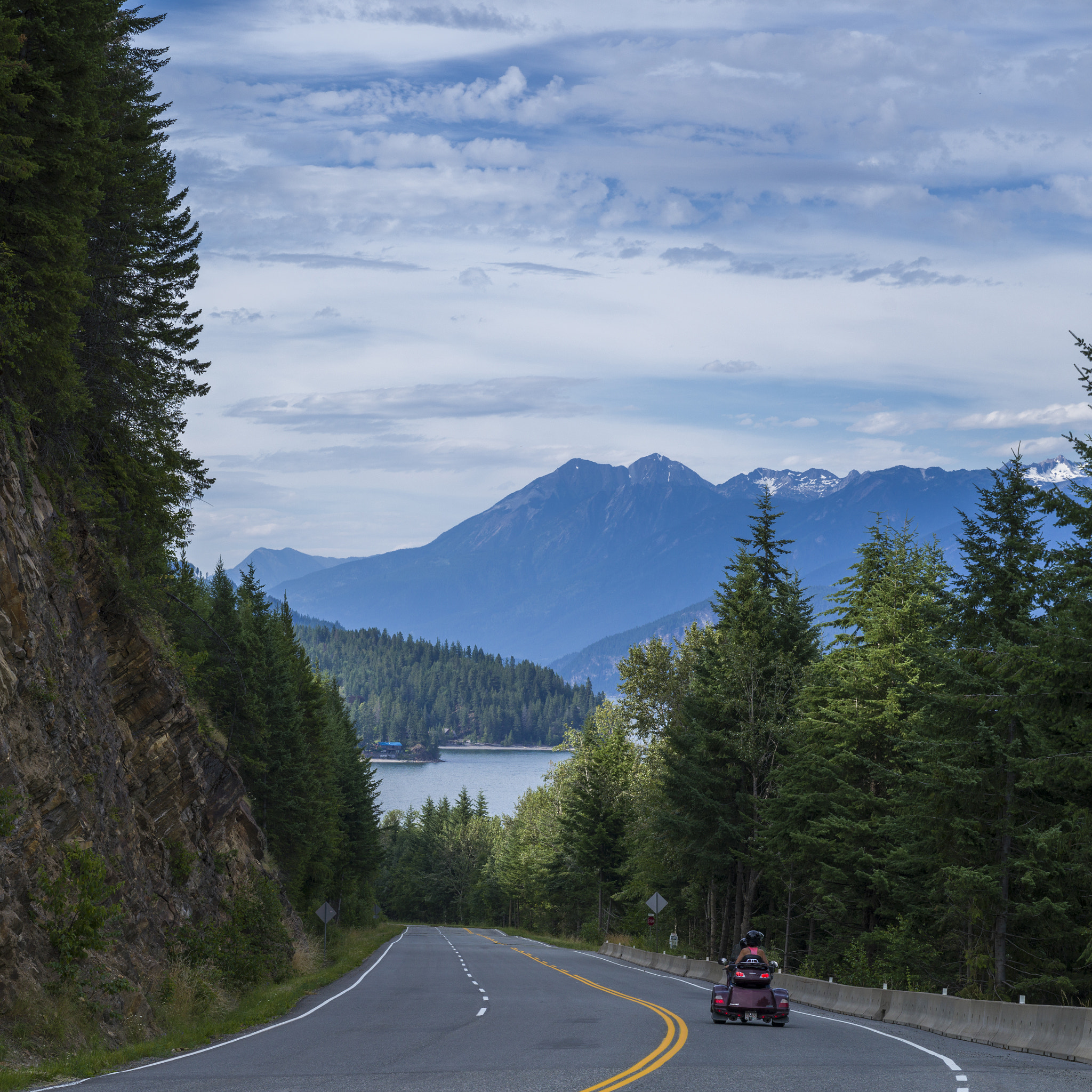 Hasselblad X1D-50c sample photo. Trees along road with mountain range in the background, creston, photography