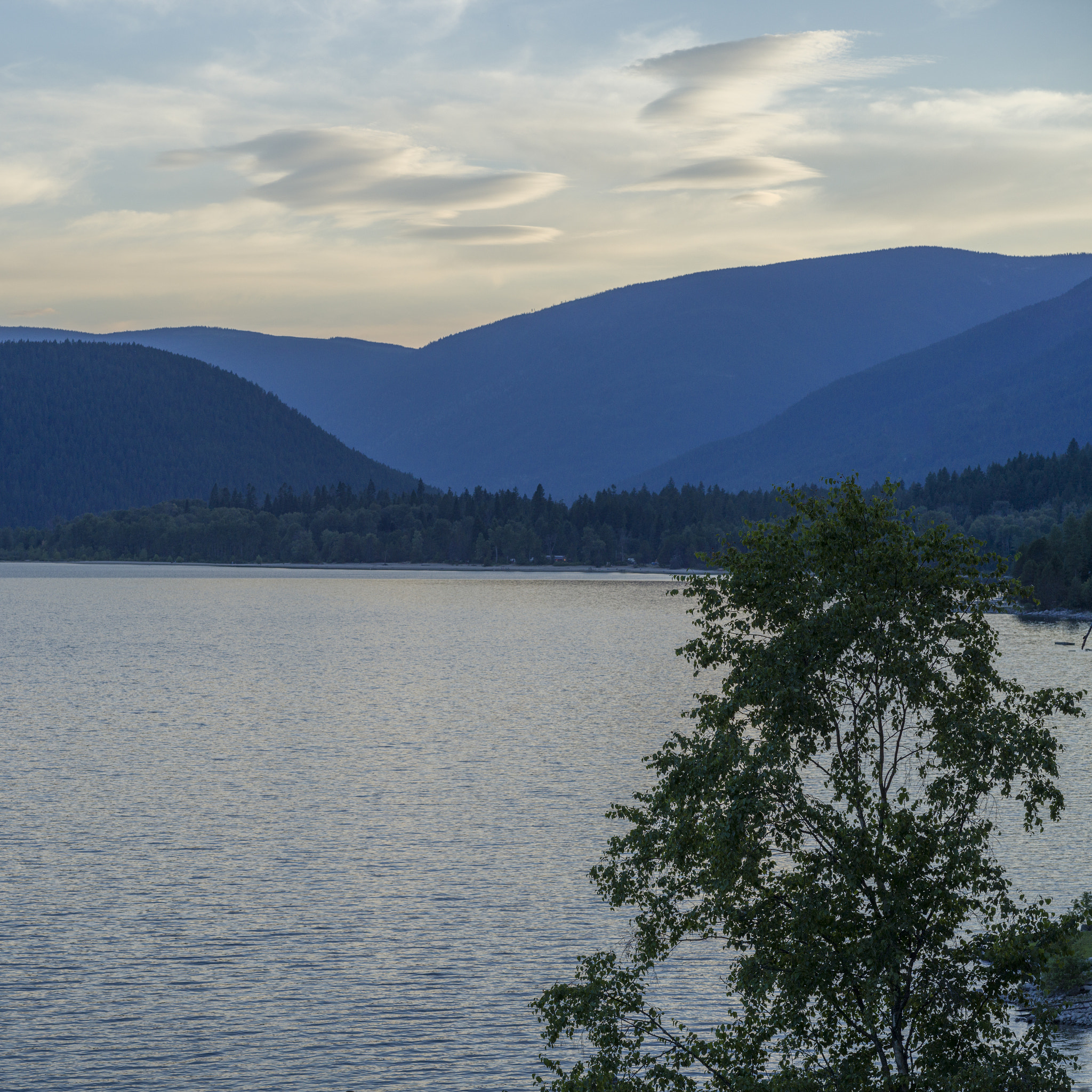 Hasselblad X1D-50c sample photo. River with mountain in the background, kaslo, west kootenay, bri photography