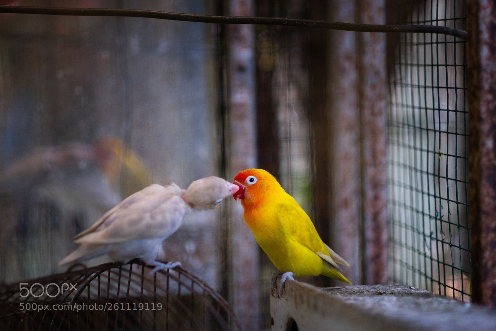 Fujifilm X-T2 sample photo. All about love so photography