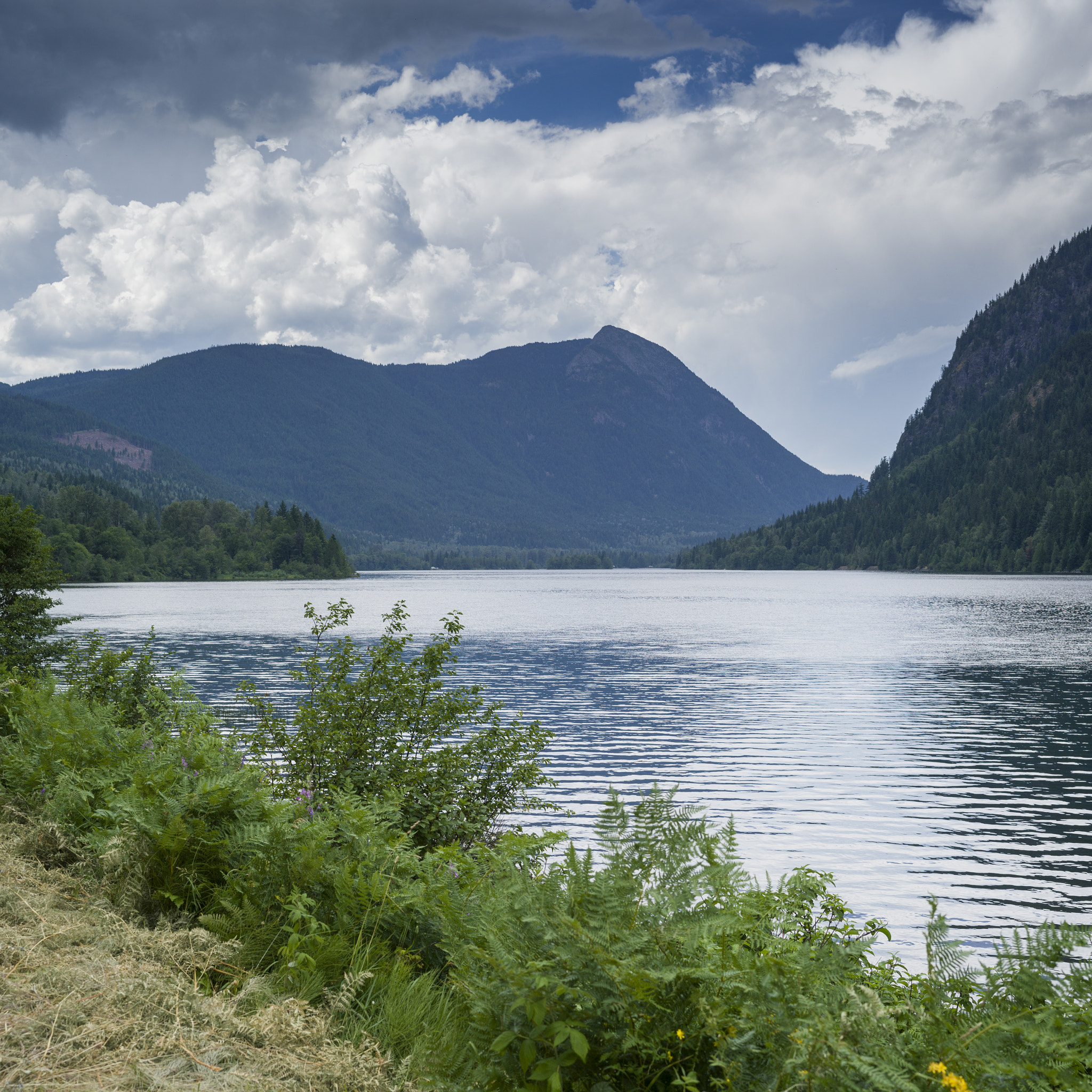 Hasselblad X1D-50c sample photo. Lake with mountain range in the background, silverton, british c photography