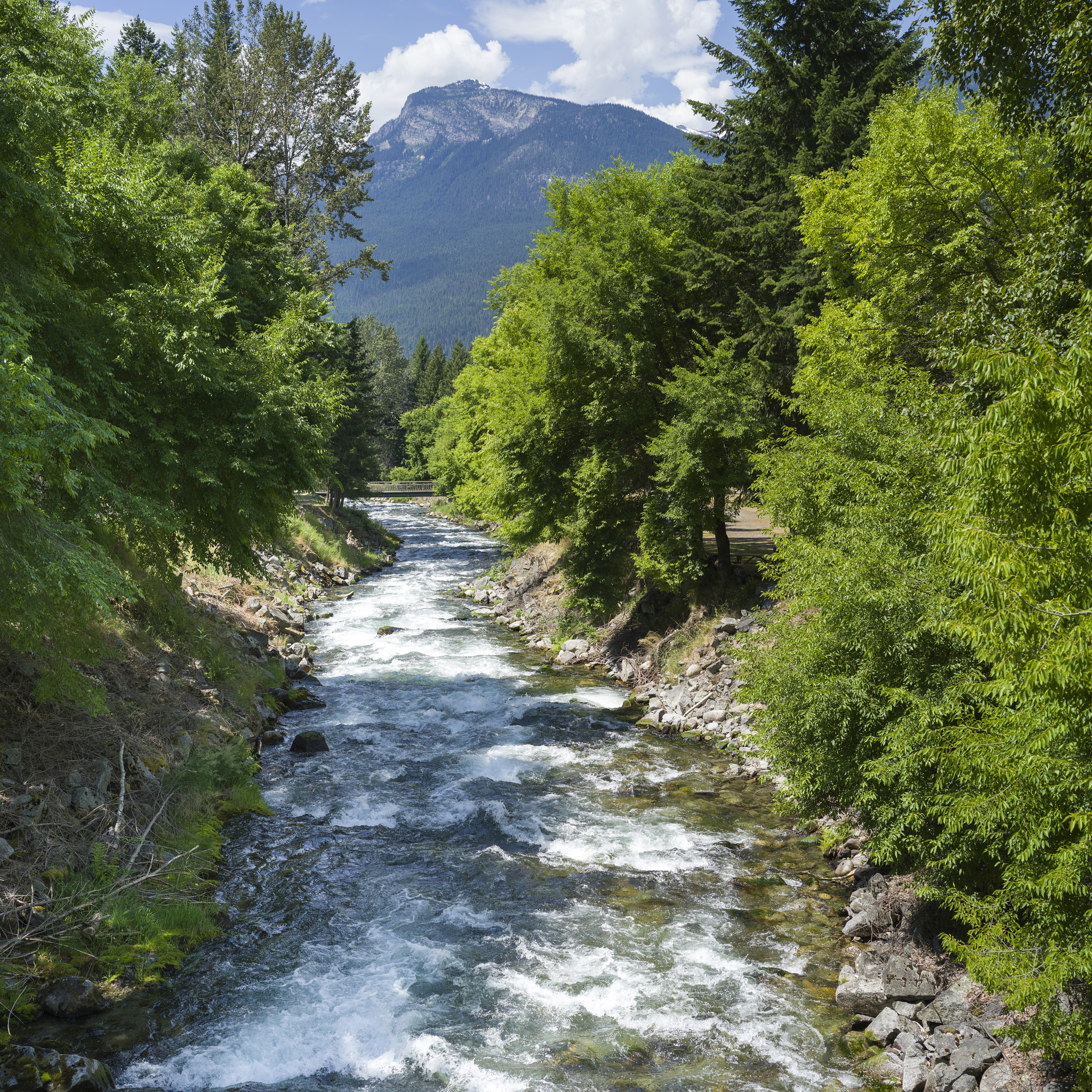 Hasselblad X1D-50c sample photo. Stream flowing through forest, nelson, british columbia, canada photography