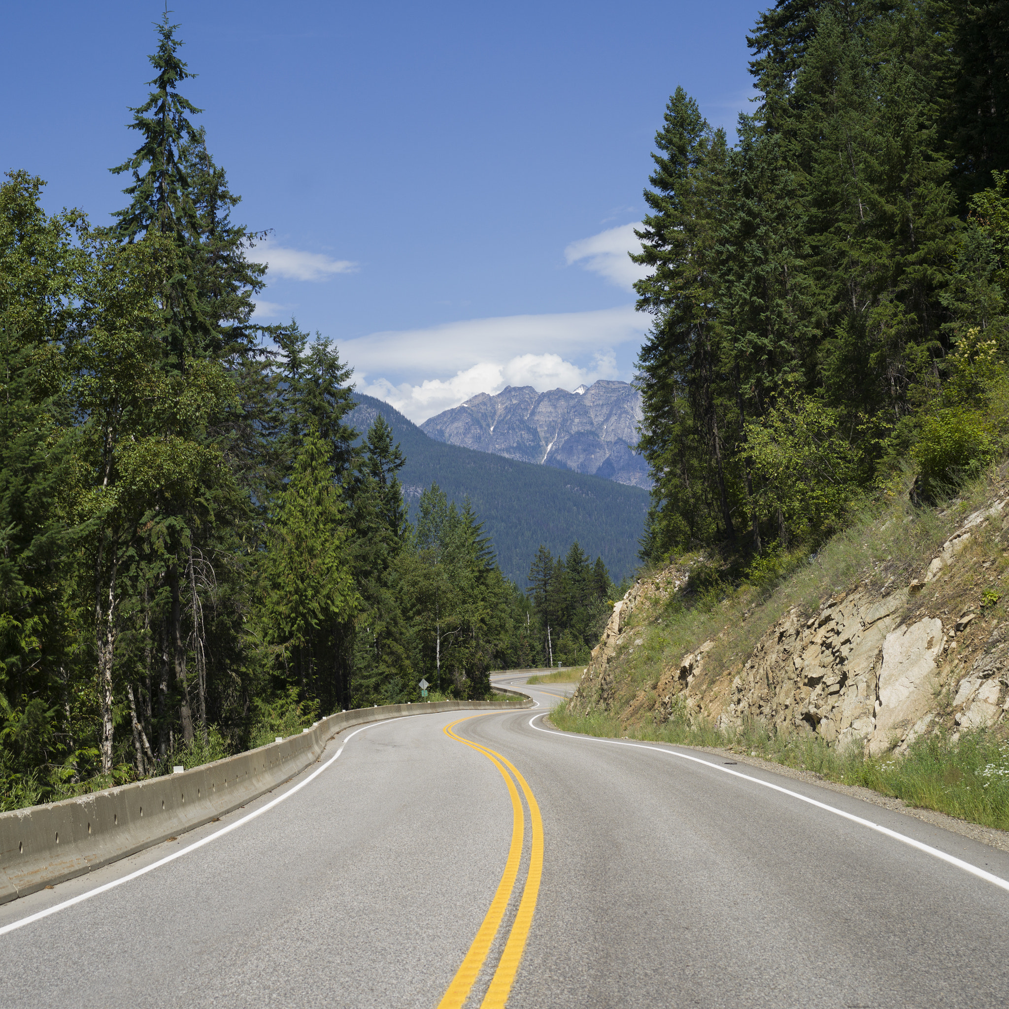 Hasselblad X1D-50c sample photo. Trees along road, nelson, british columbia, canada photography