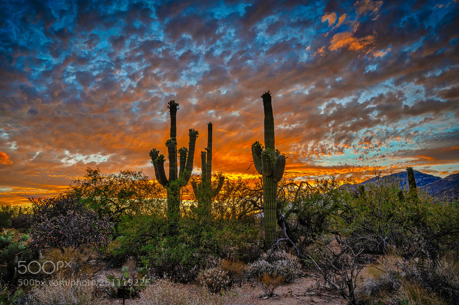 Sony a7 III sample photo. Sunset at sabino canyon photography