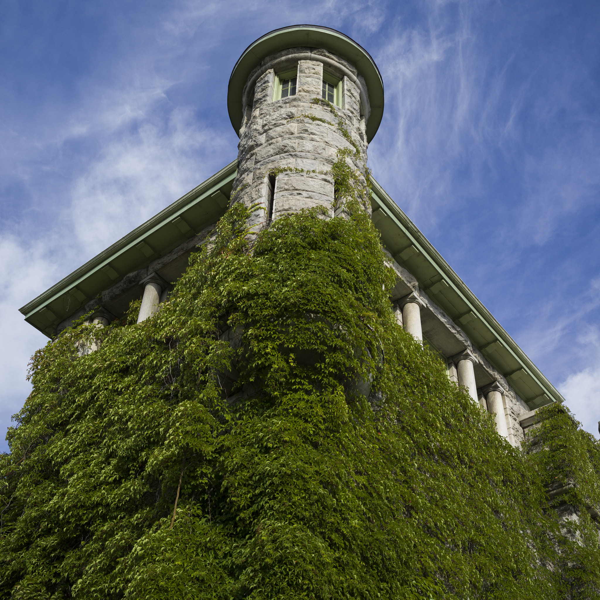 Hasselblad X1D-50c sample photo. Low angle view of ivy covered building, courthouse, nelson, brit photography