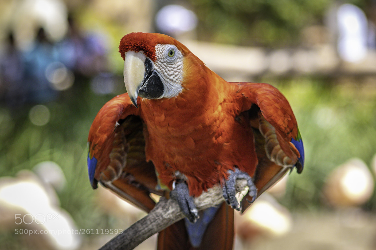 Canon EOS 80D sample photo. 2018-04-08 santa barbara zoo photography
